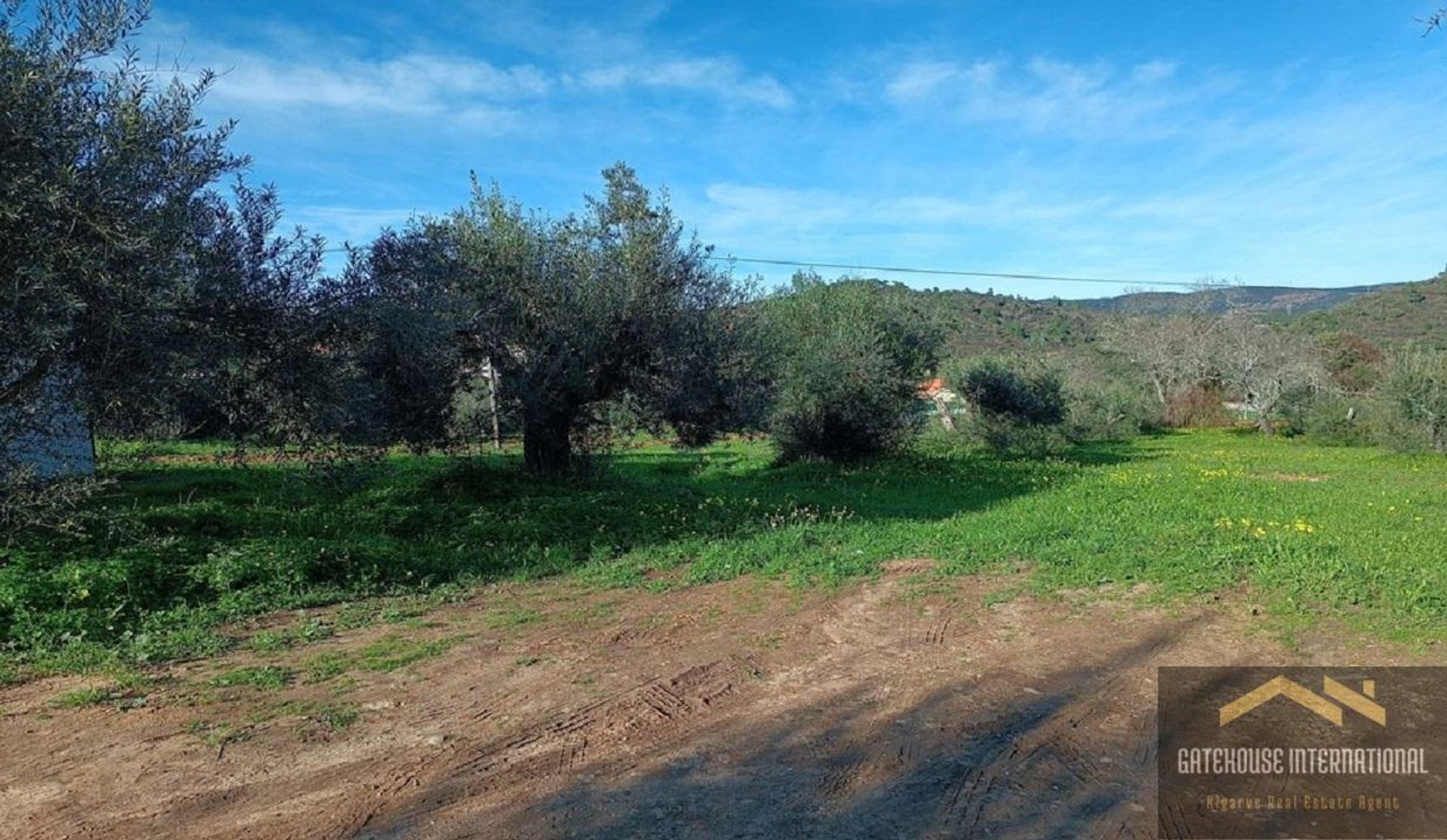 Terre dans São Brás de Alportel, Faro 11754243