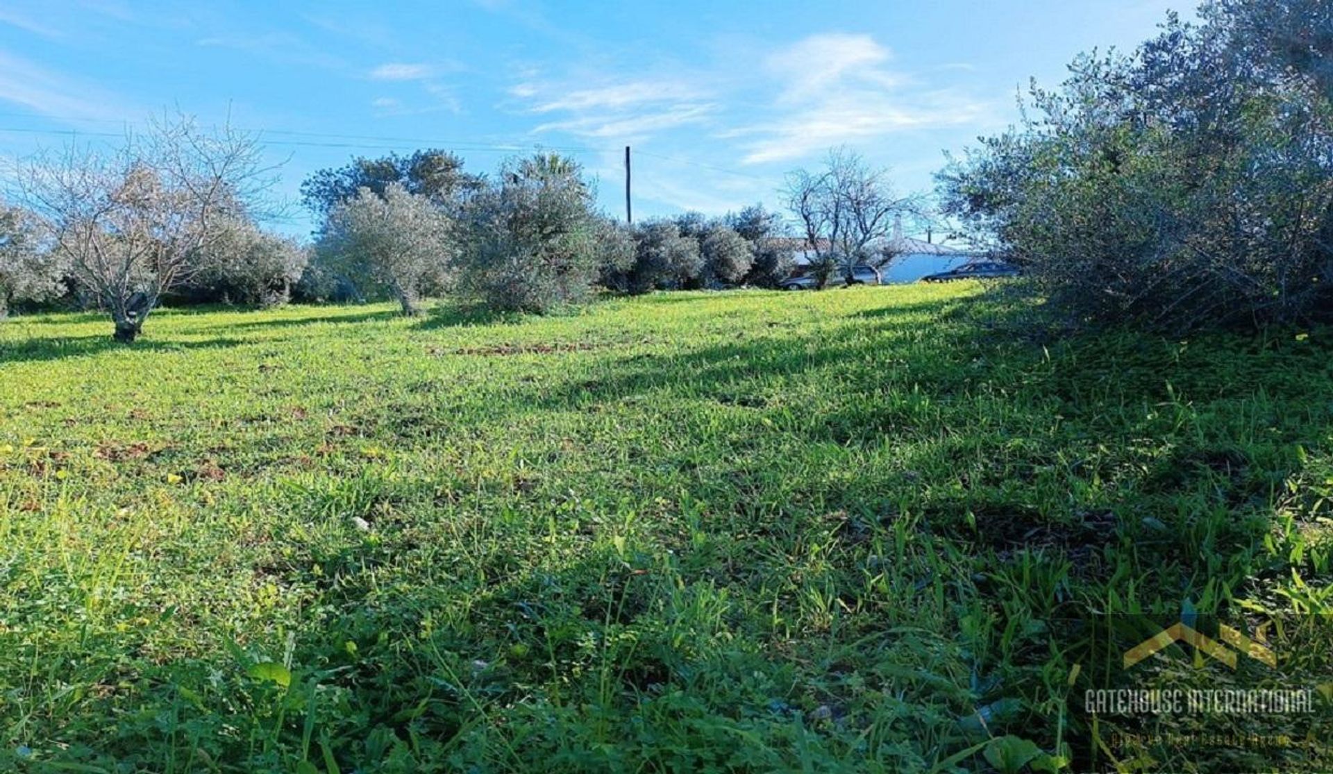 Land i São Brás de Alportel, Faro 11754243