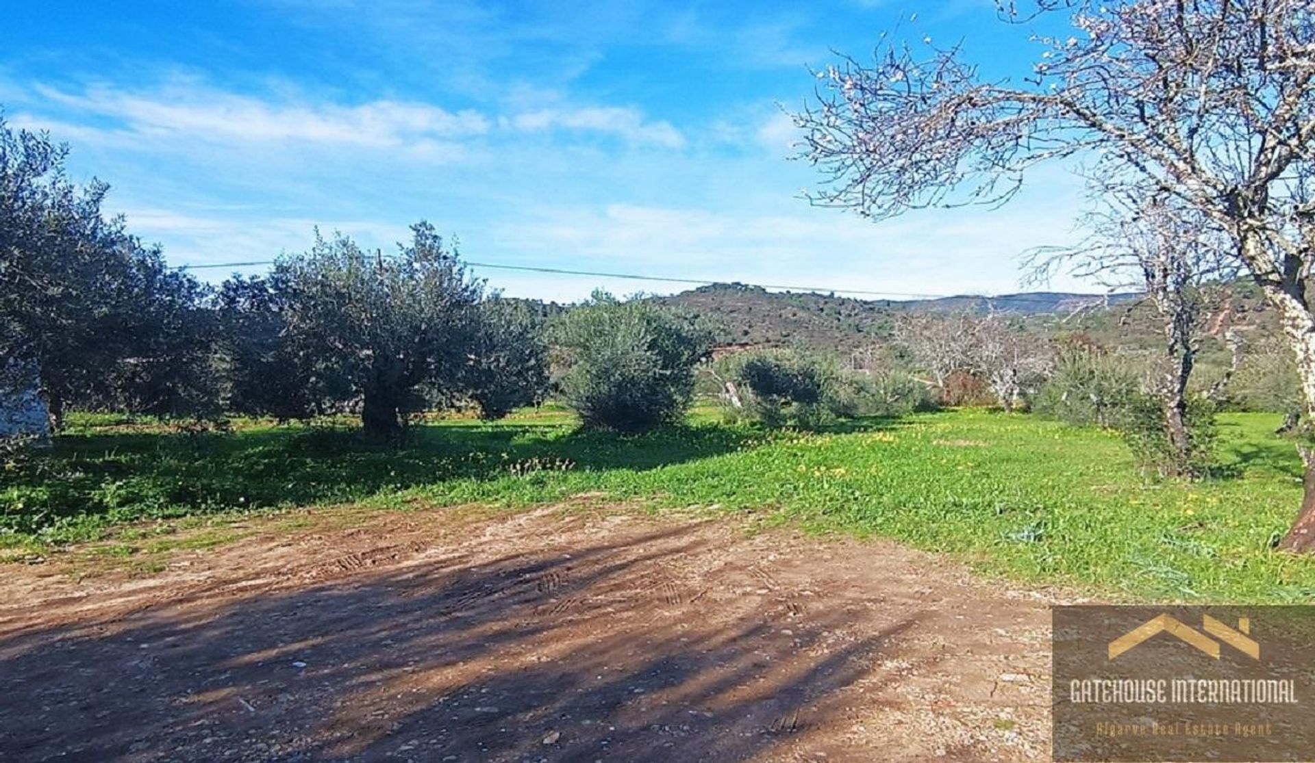 Land i São Brás de Alportel, Faro 11754243