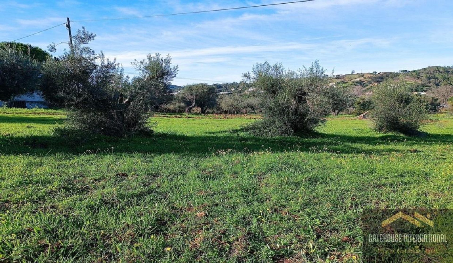 Terre dans São Brás de Alportel, Faro 11754243