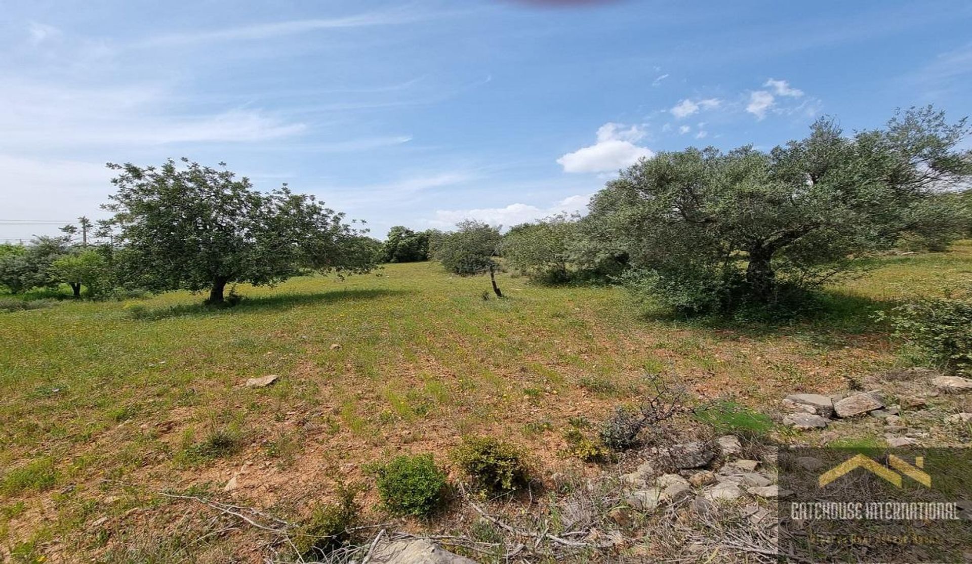 Land in Sao Bras de Alportel, Faro 11754265