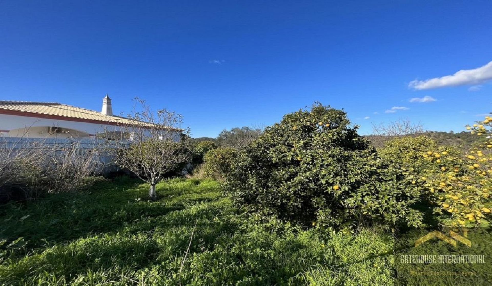 loger dans São Brás de Alportel, Faro 11754355