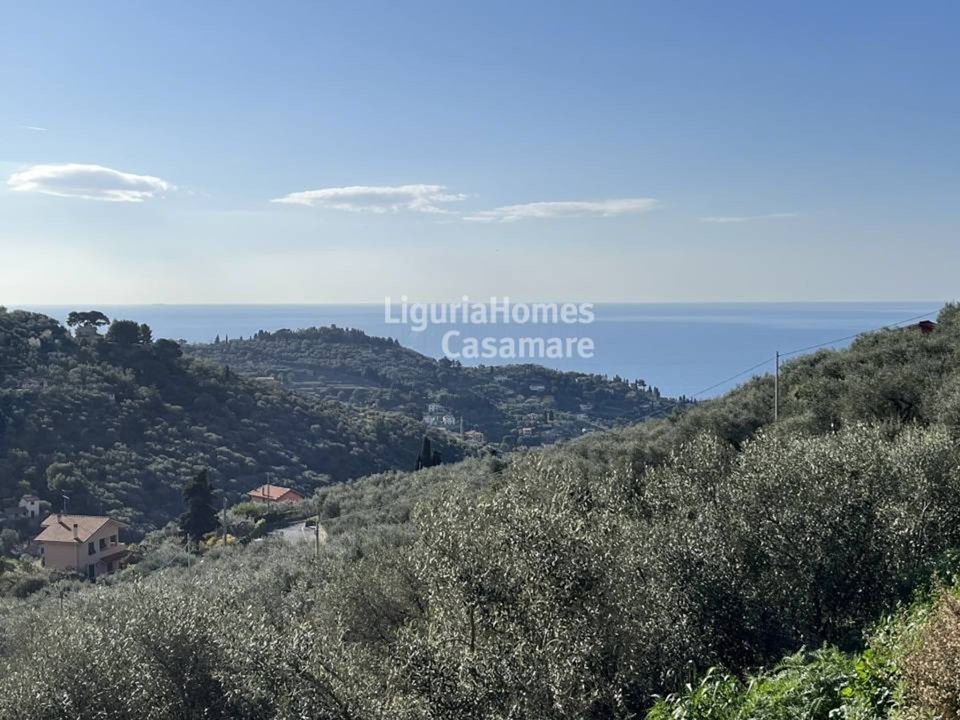 Land in Imperia, Liguria 11754563