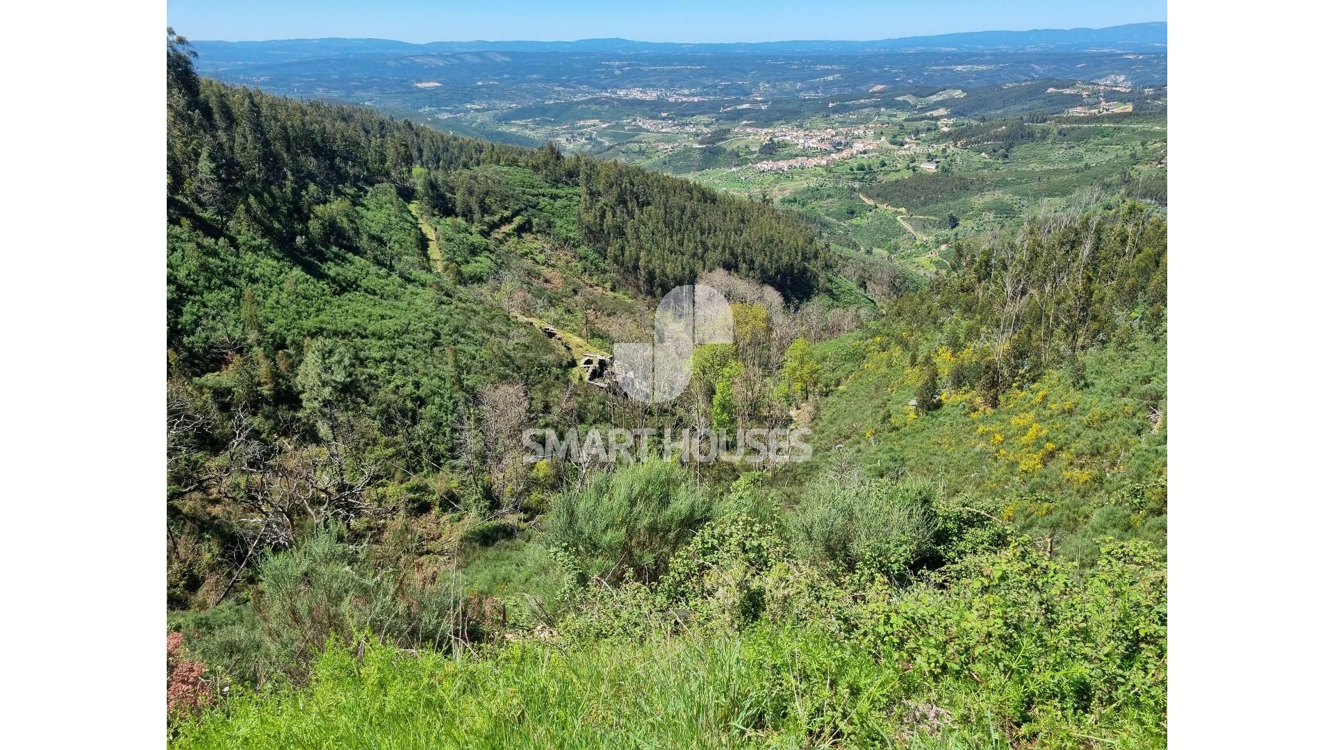 Land i Rossio ao Sul do Tejo, Santarem 11754866