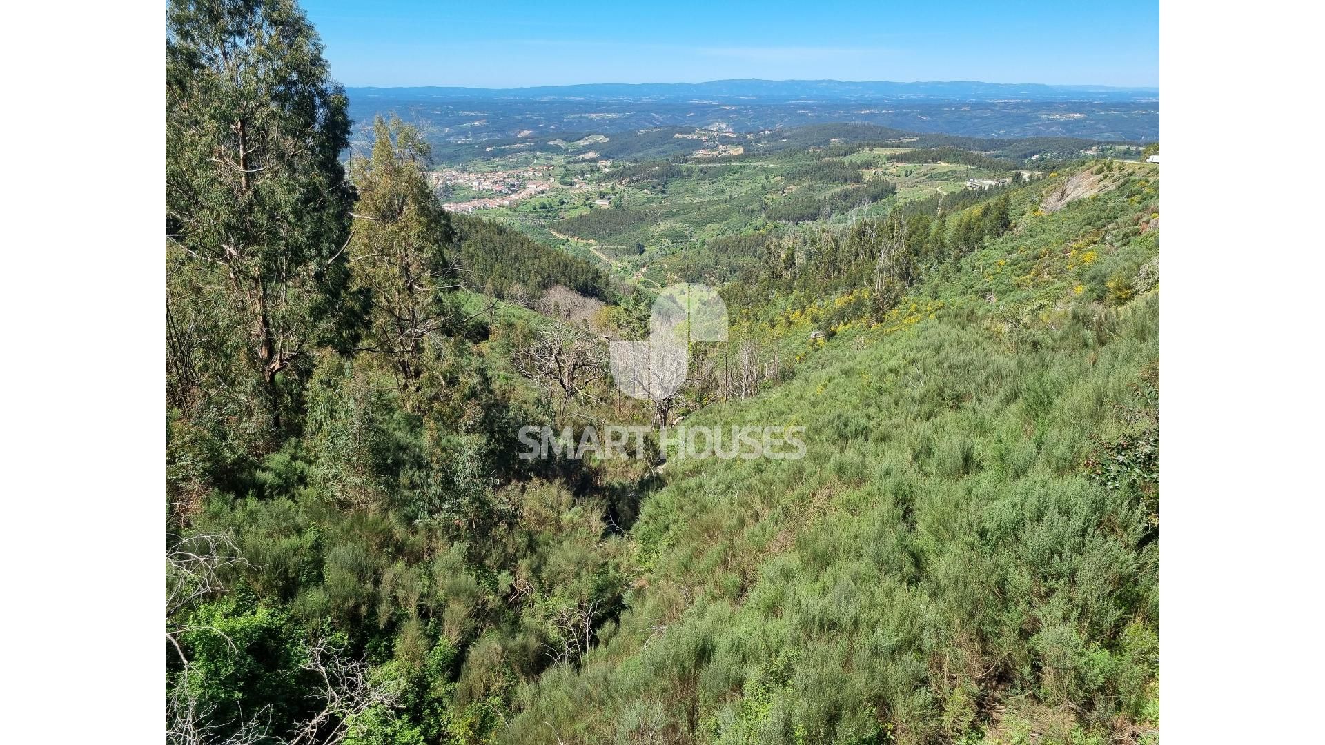 Land i Rossio ao Sul do Tejo, Santarem 11754866