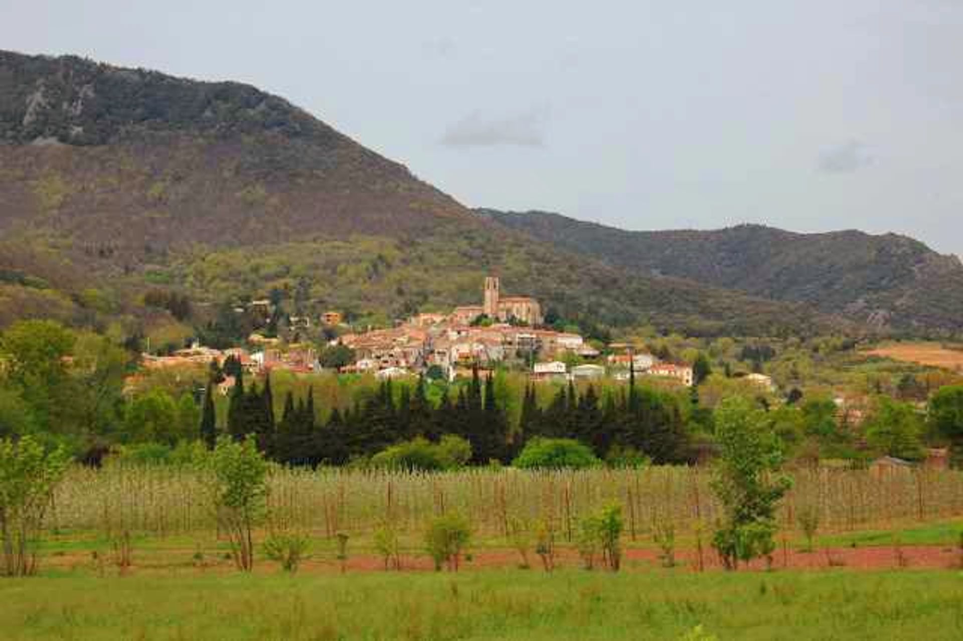 loger dans Bédarieux, Occitanie 11755021