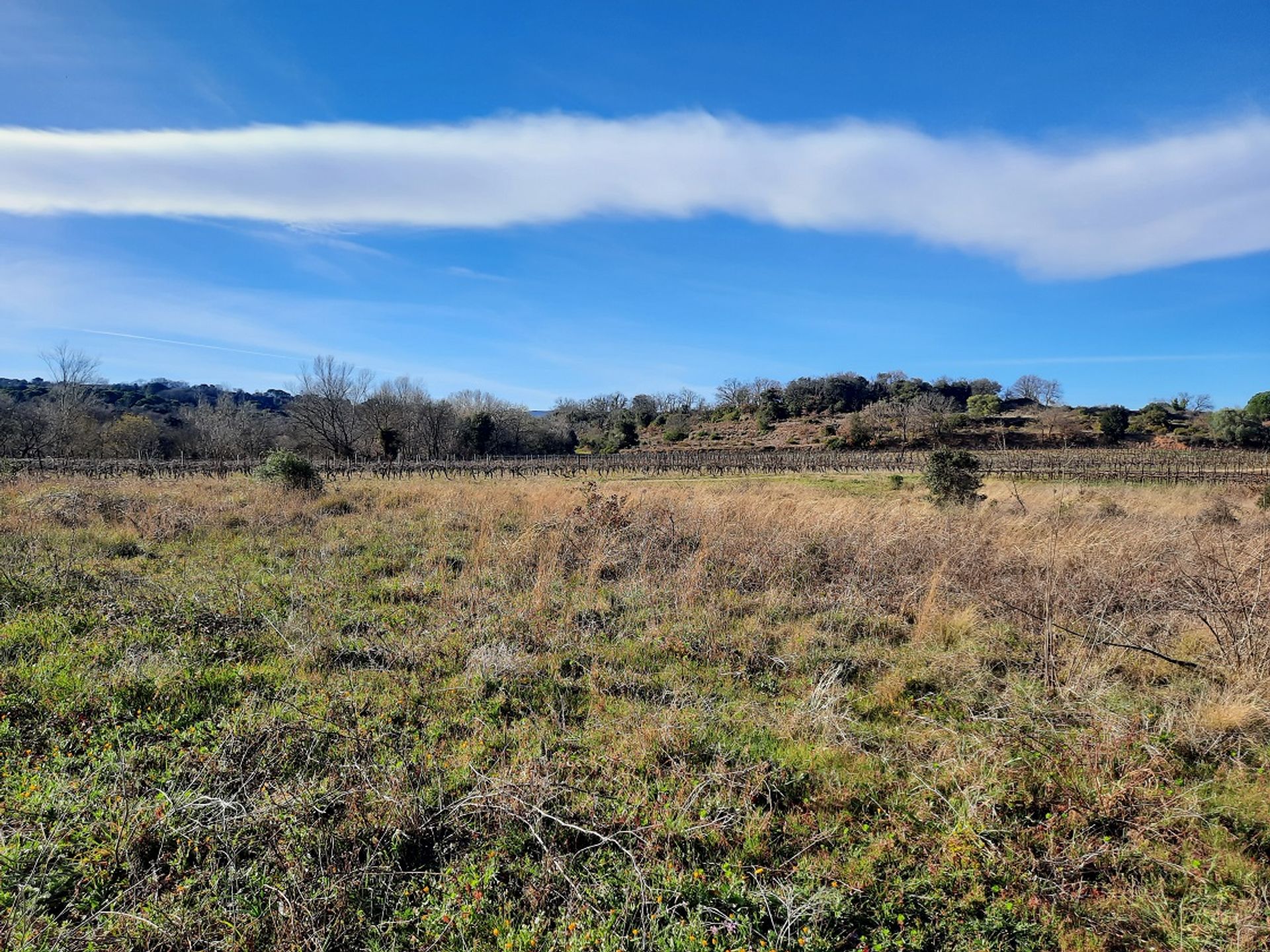 Andet i Saint-Genies-de-Fontedit, Occitanie 11755045