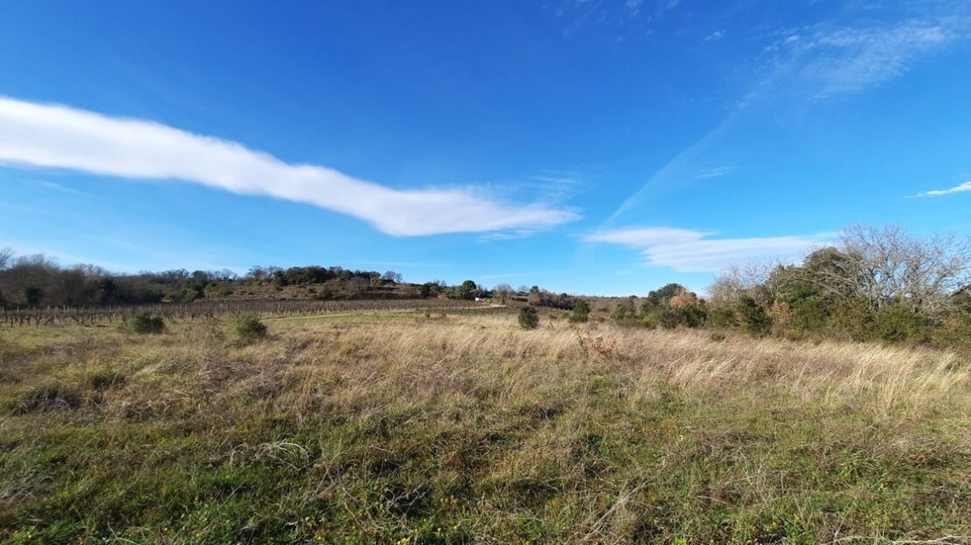 Andet i Saint-Genies-de-Fontedit, Occitanie 11755045