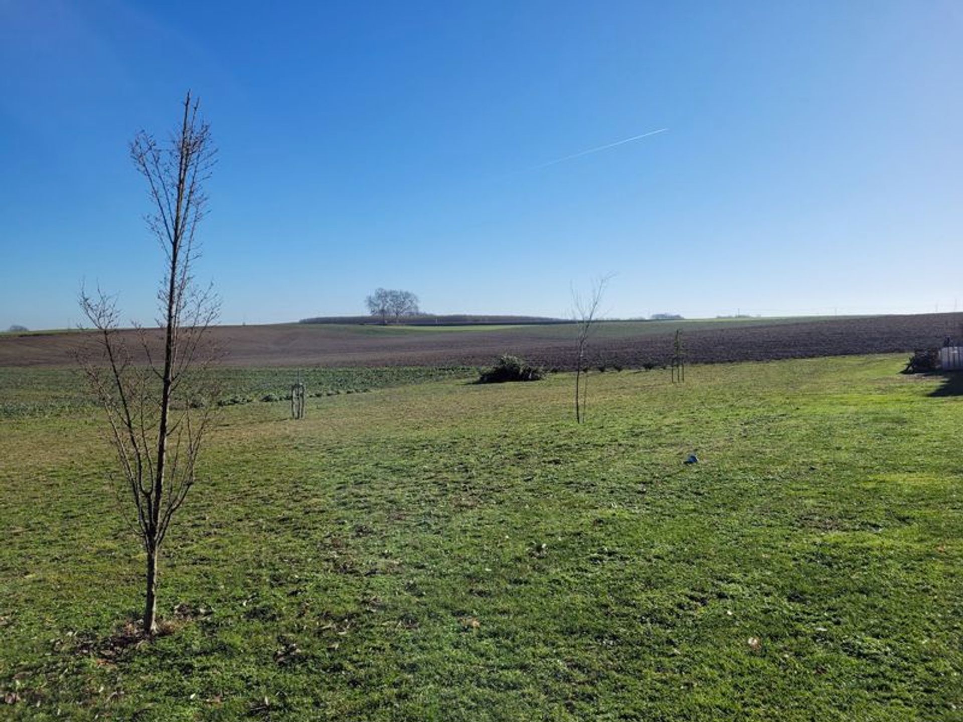 Outro no Montaigu-de-Quercy, Occitanie 11755168