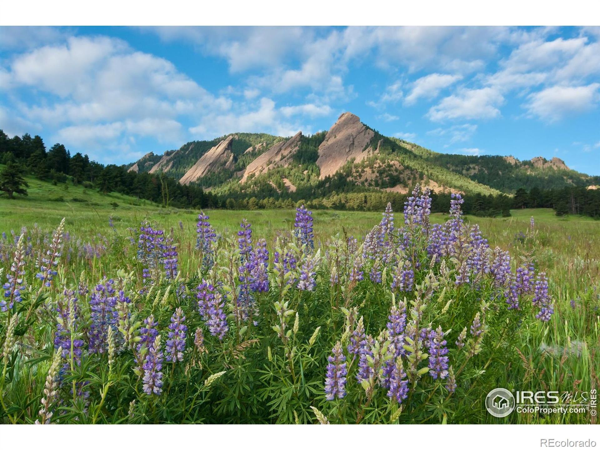 בַּיִת ב Boulder, Colorado 11755230