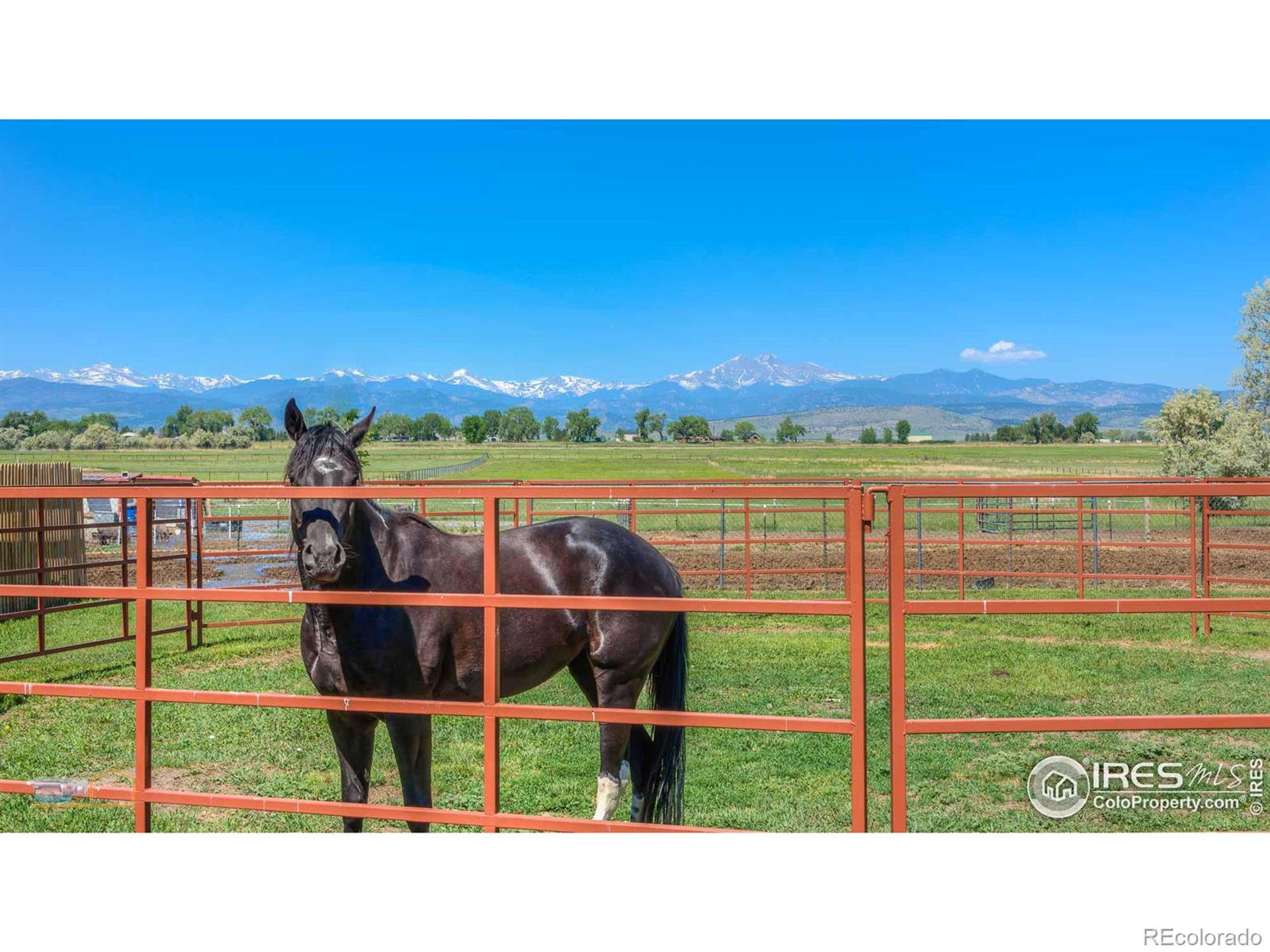 casa no Longmont, Colorado 11755245