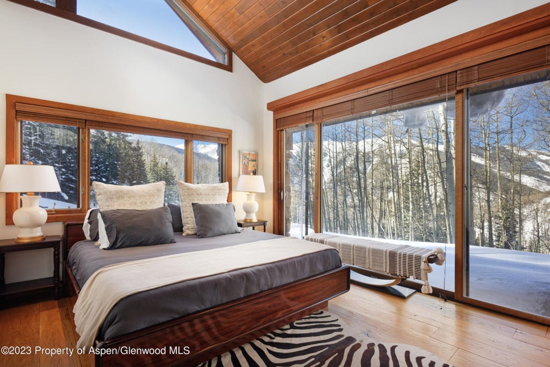 Casa nel Aspen, Colorado 11755269