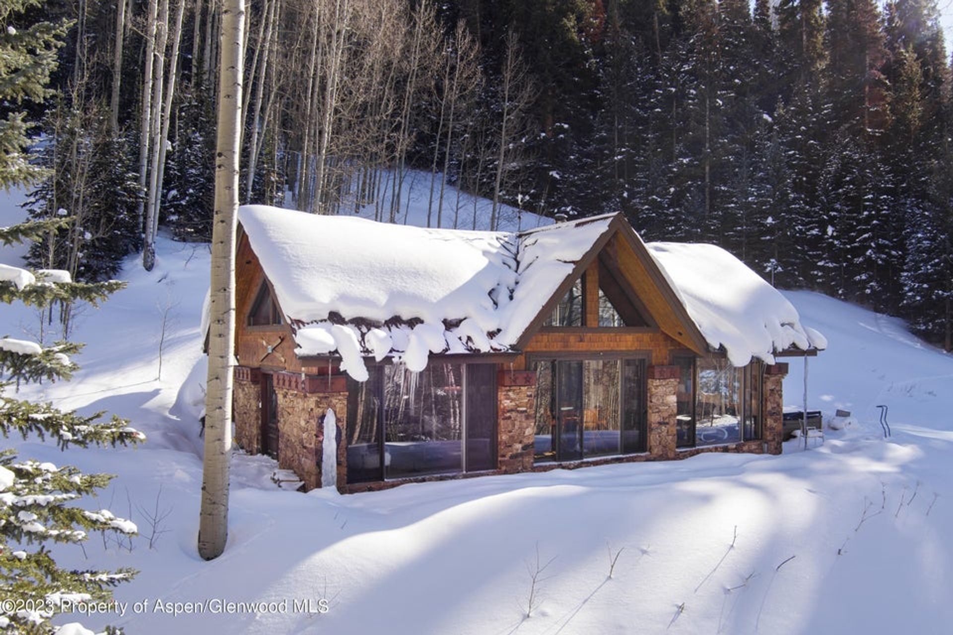 House in Aspen, Colorado 11755269