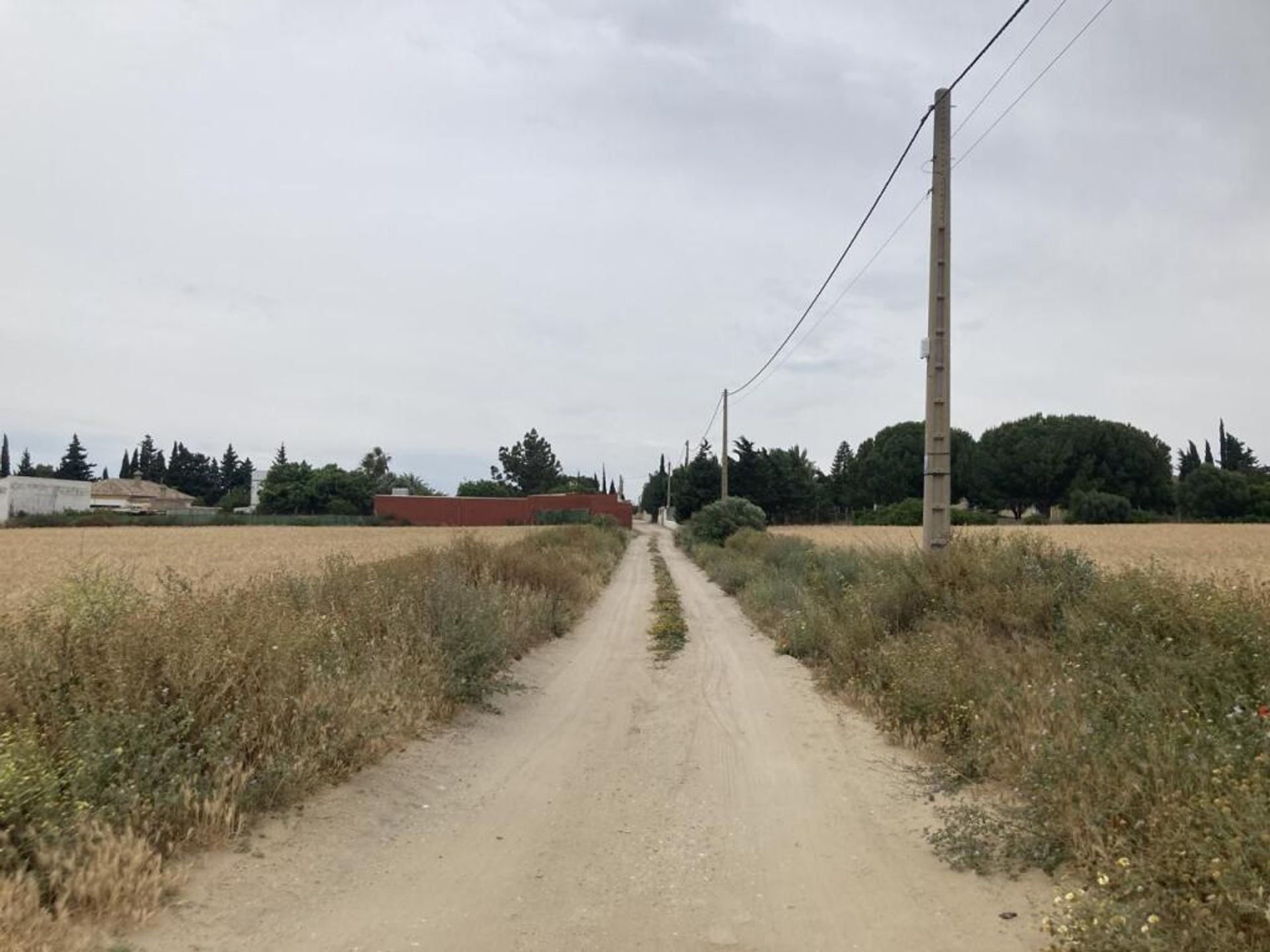 Land in Chiclana de la Frontera, Andalucía 11758322