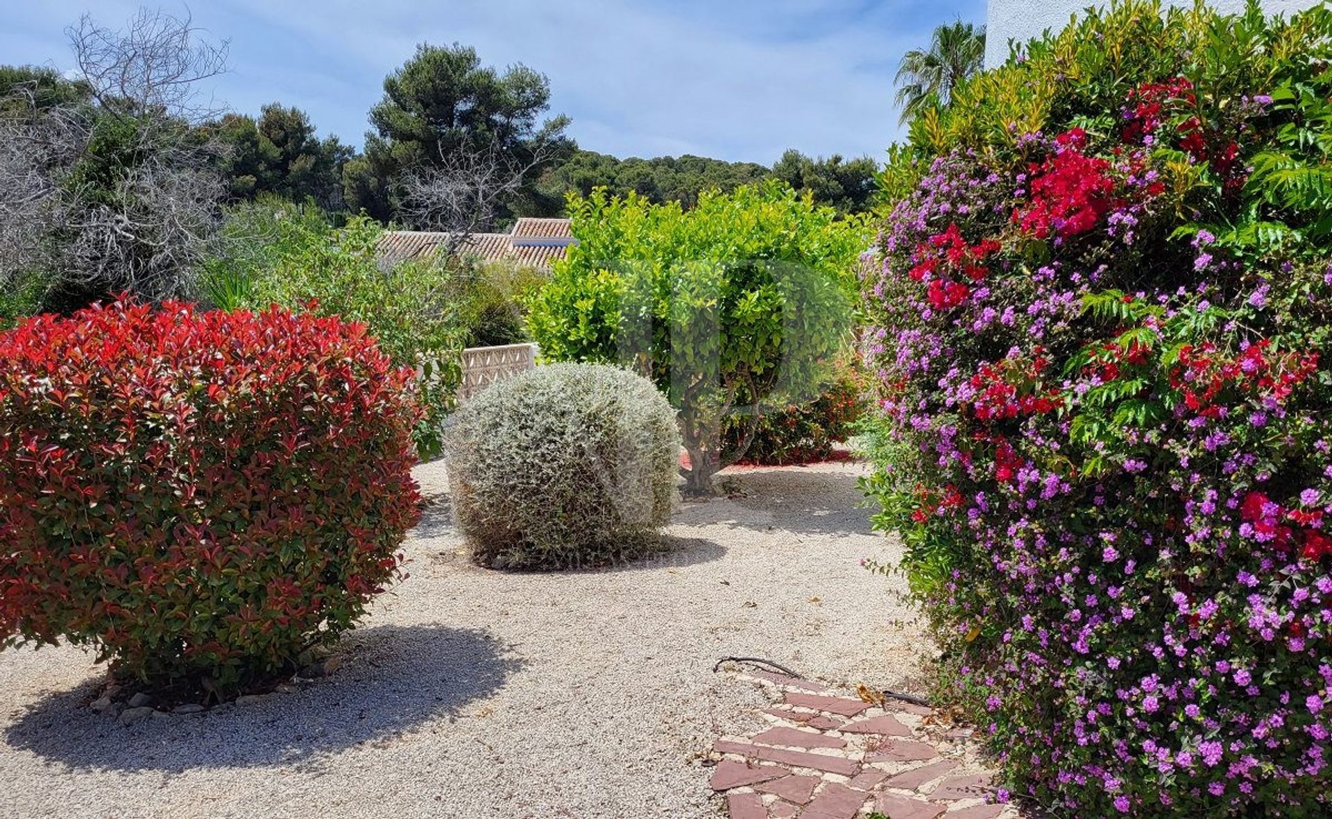 casa no Panorama, Comunidad Valenciana 11760604