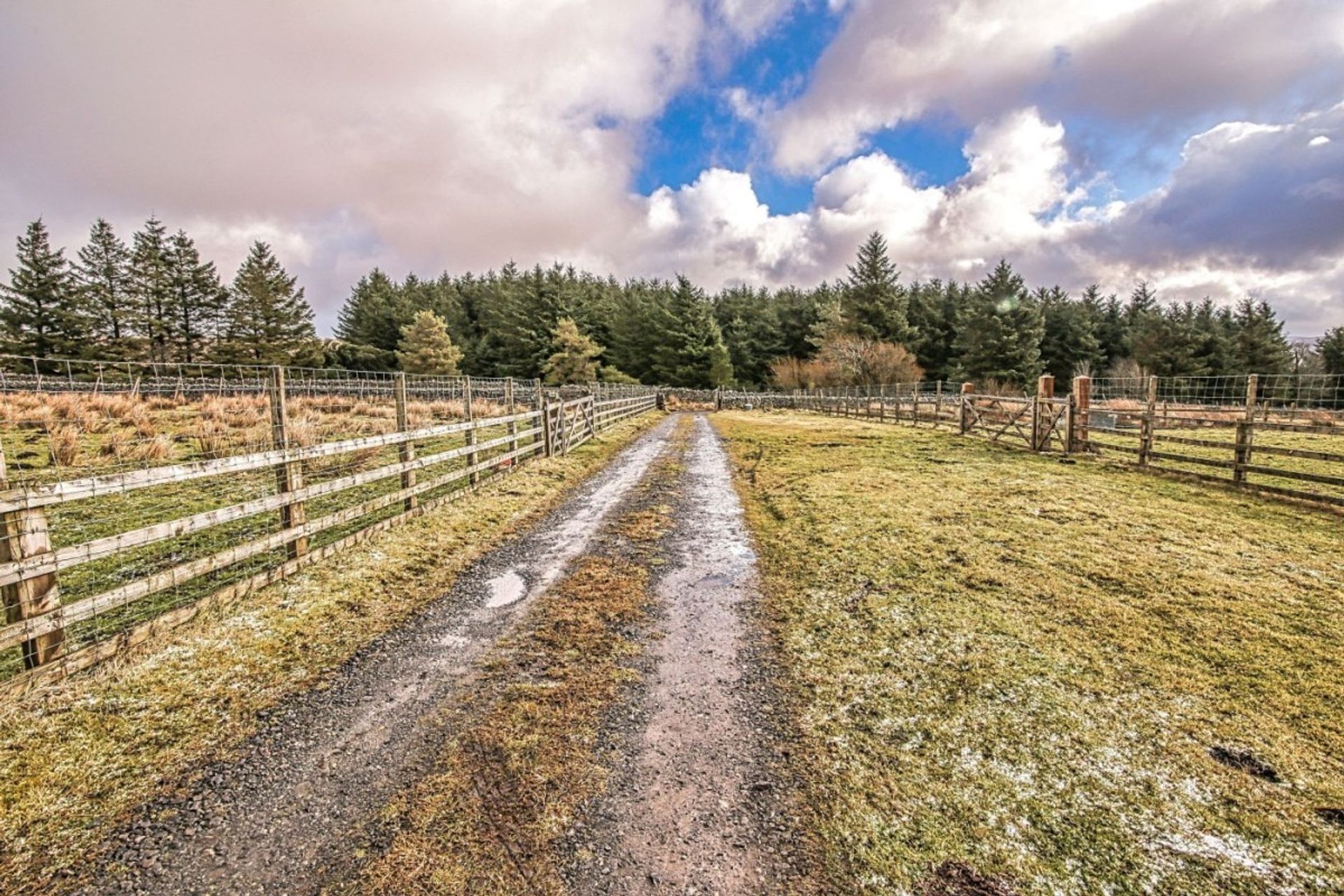 房子 在 Lanehead, England 11760980