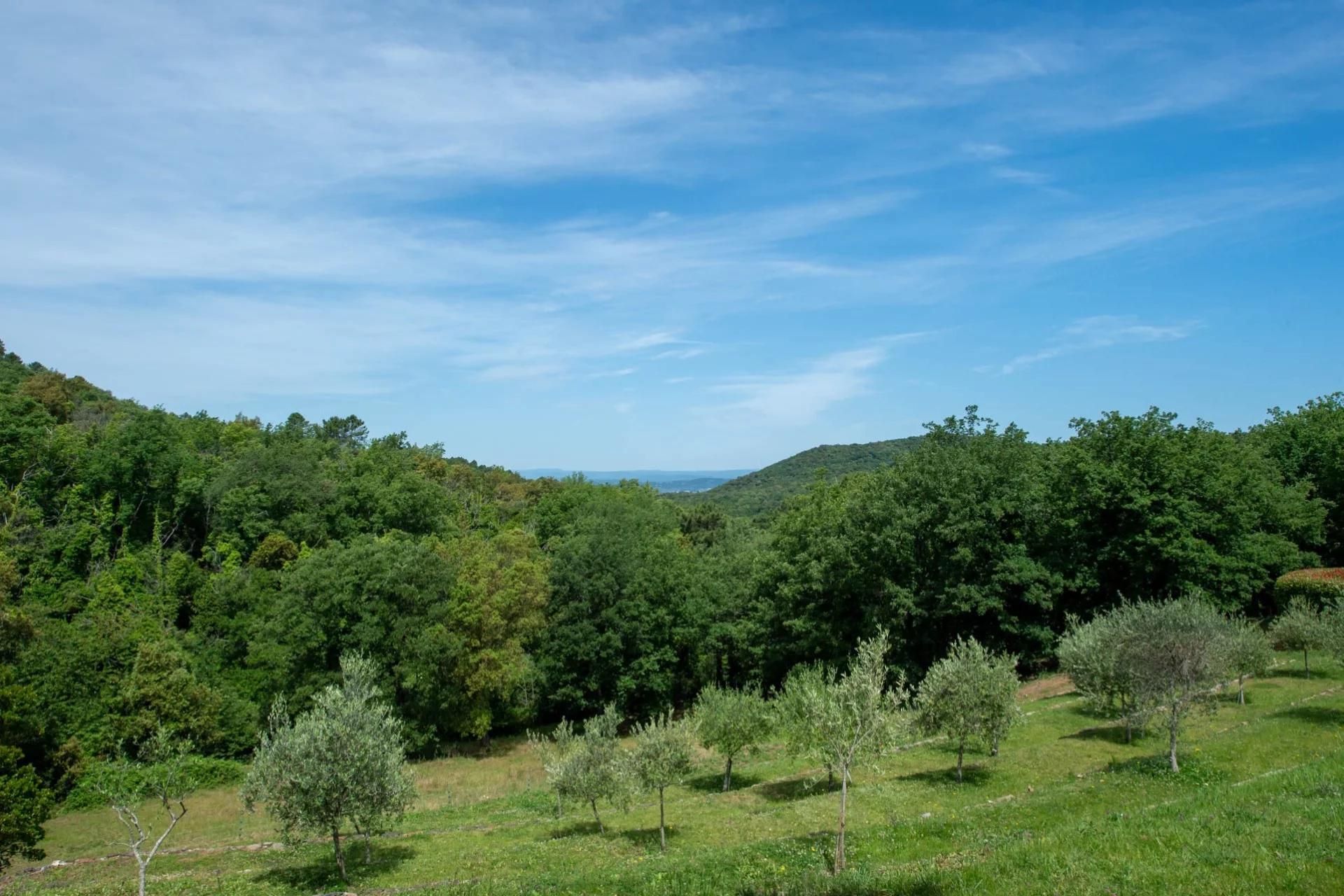 Будинок в La Garde-Freinet, Provence-Alpes-Côte d'Azur 11760999