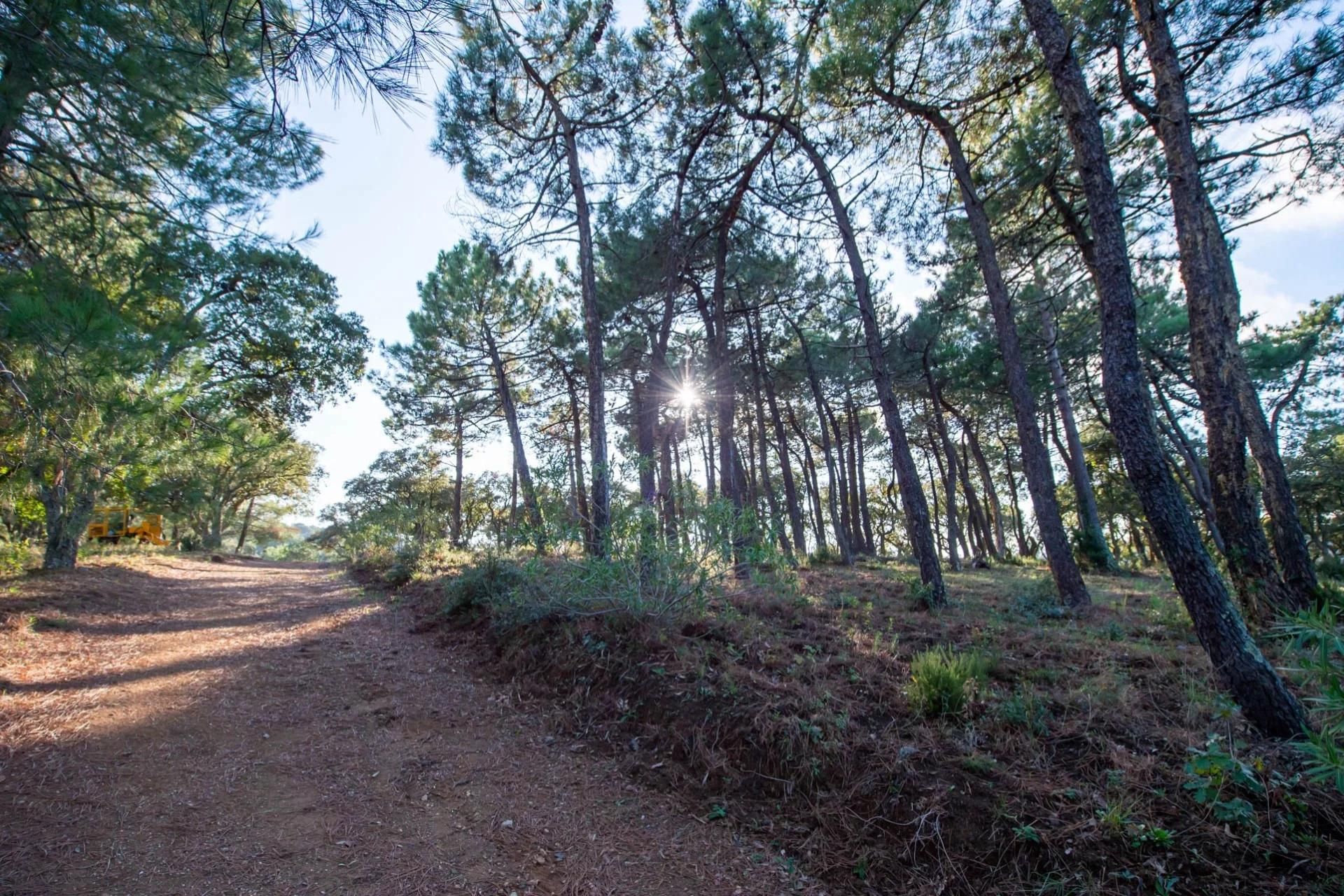 σπίτι σε La Croix-Valmer, Provence-Alpes-Côte d'Azur 11761009