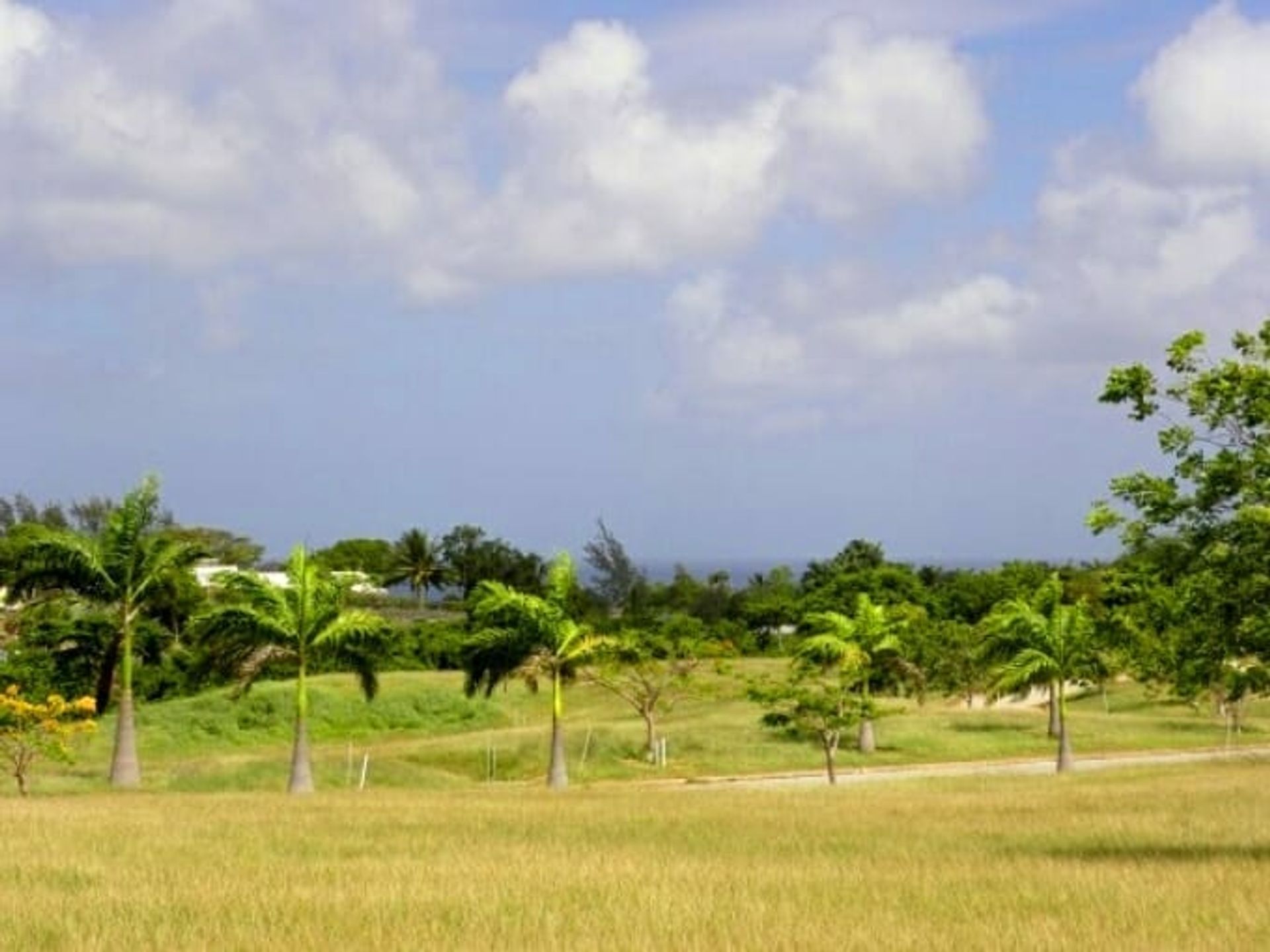 Terra no Retiro, São Pedro 11761626