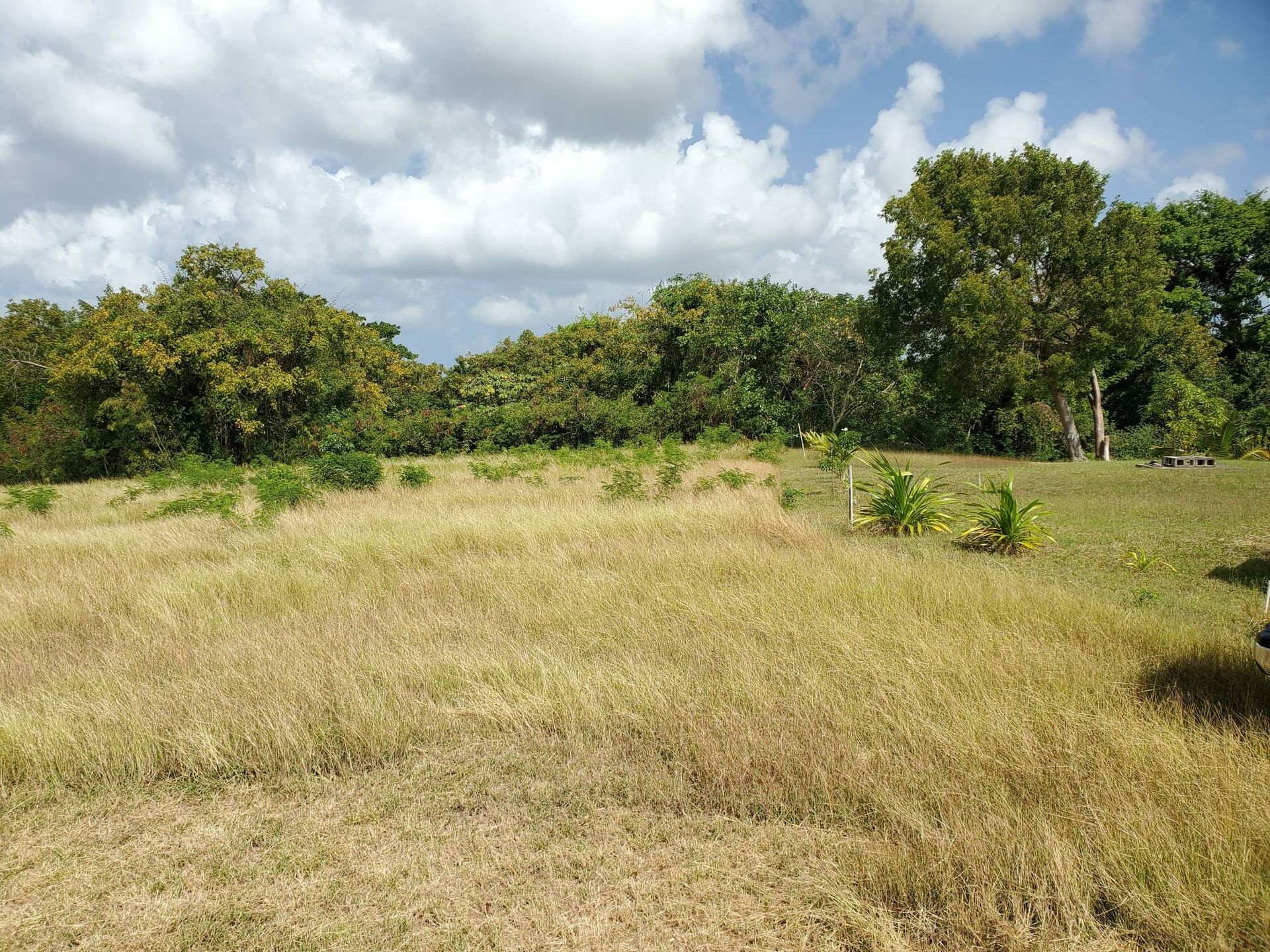 Land im Bäcker, heiliger Jakob 11761628