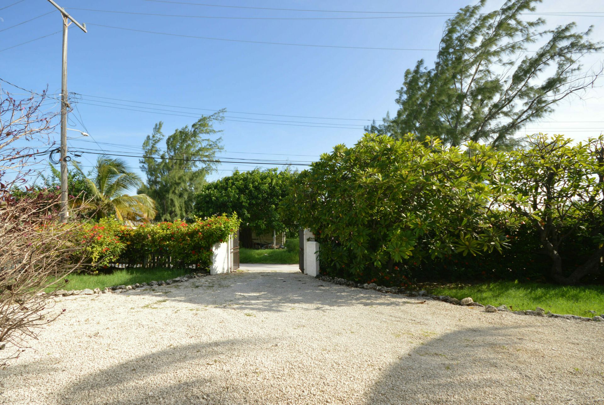 Condominium dans Jardin vert, Église du Christ 11761759