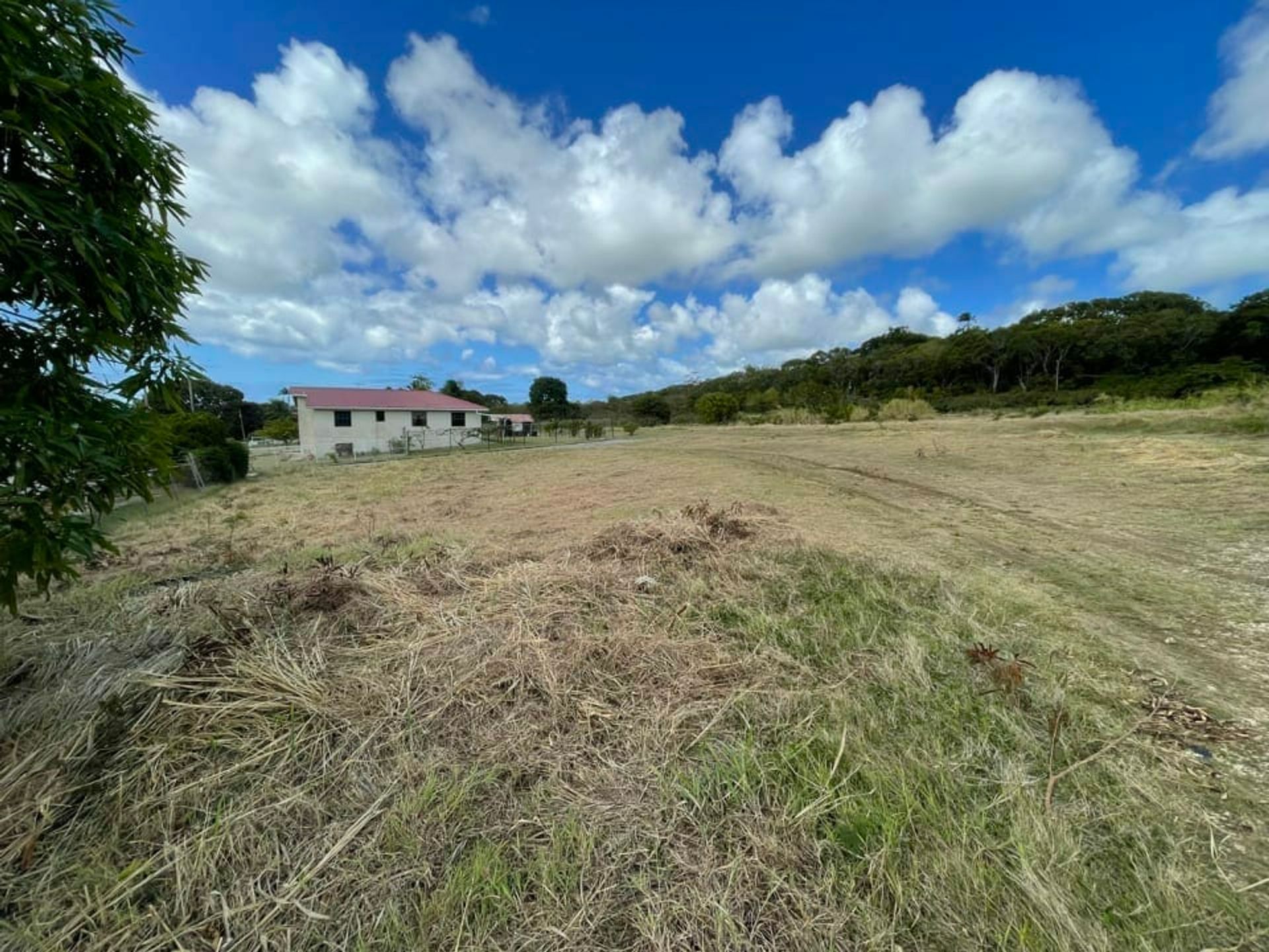 Land in Rowans, Saint George 11761800