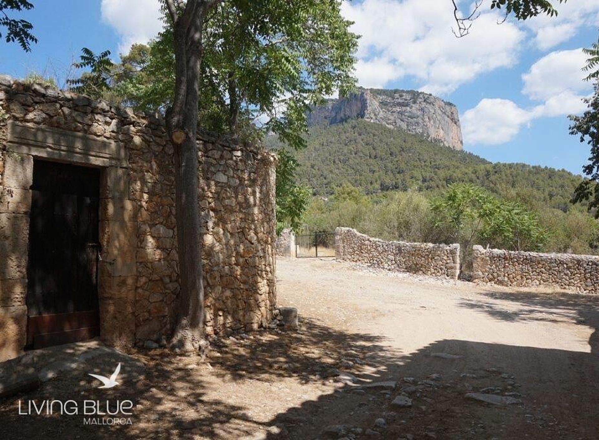 Altro nel Alaró, Balearic Islands 11762350