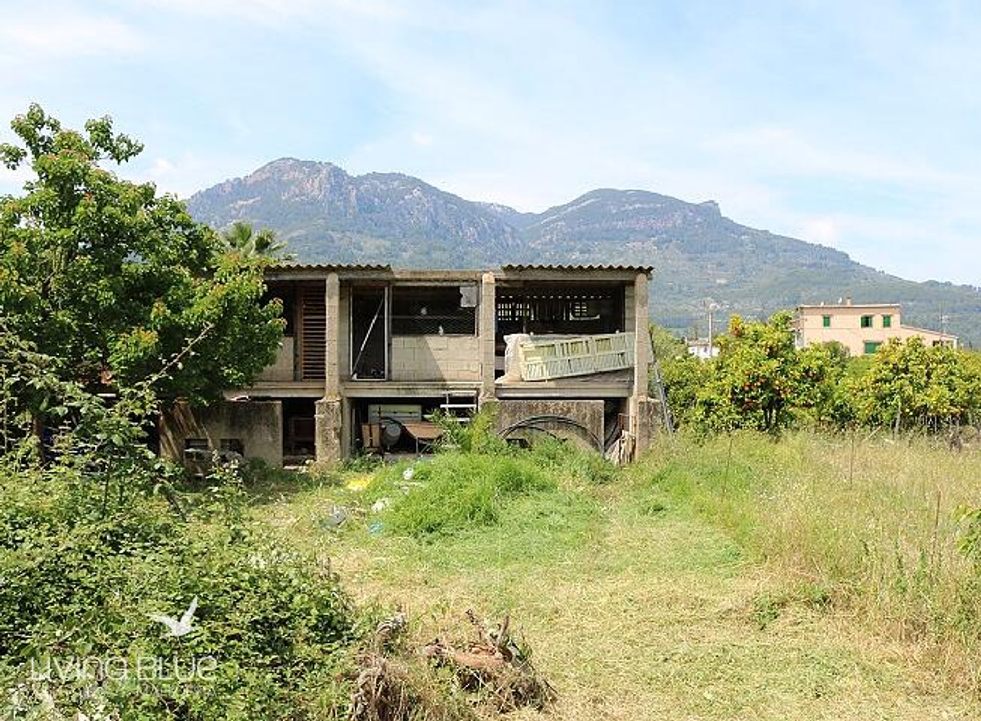 其他 在 Sóller, Balearic Islands 11762370