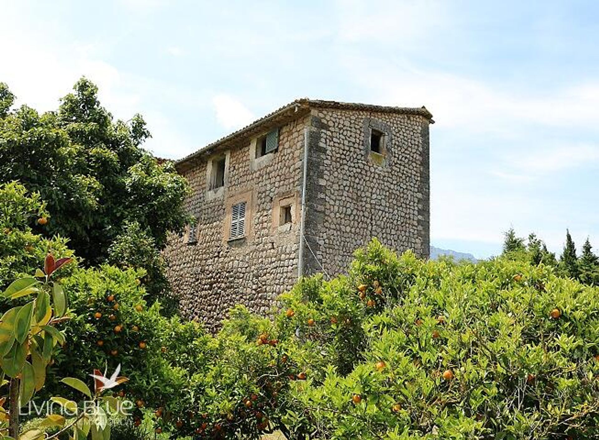 其他 在 Sóller, Balearic Islands 11762370