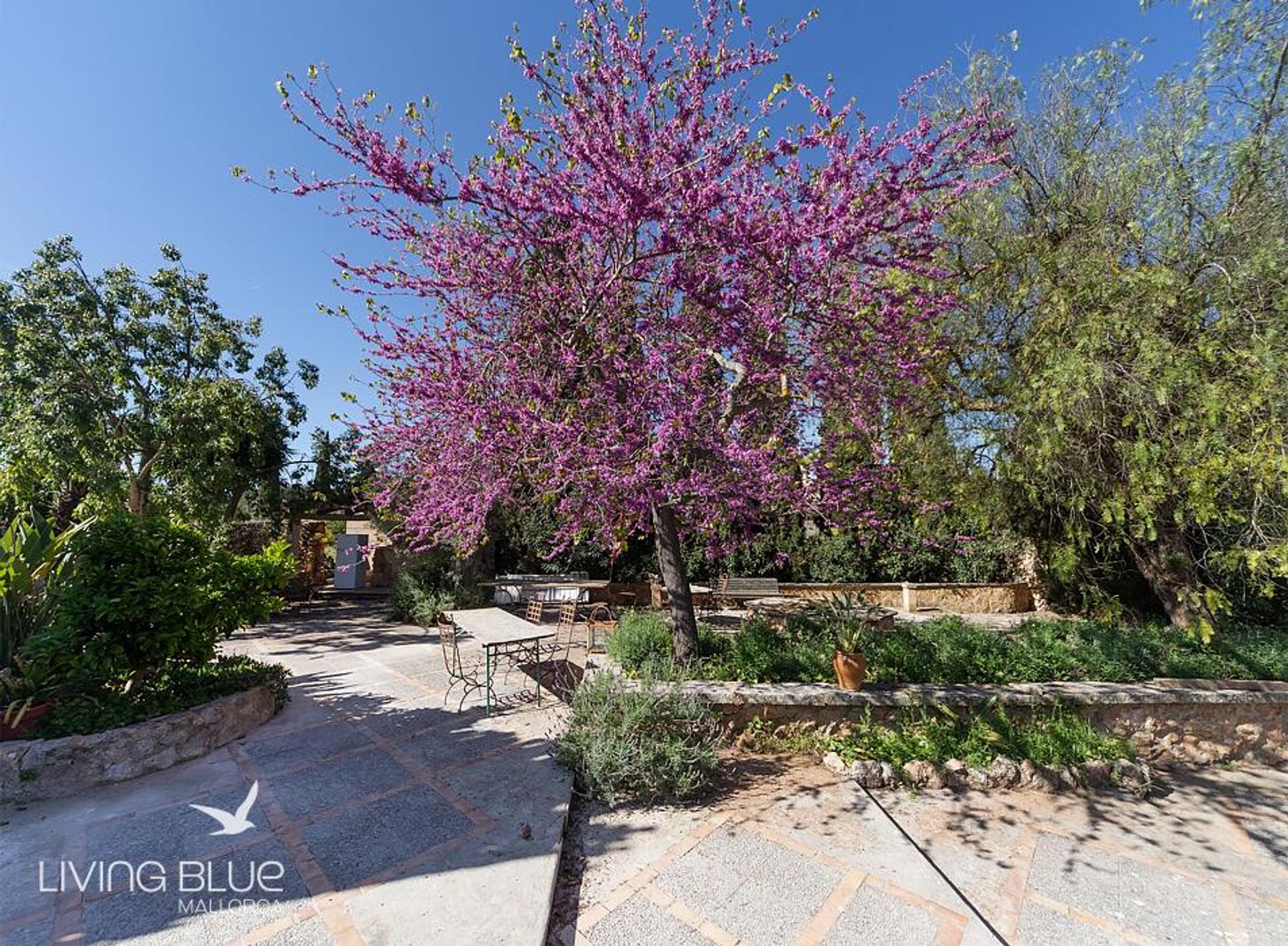 Autre dans Santa Eugènia, Balearic Islands 11762377