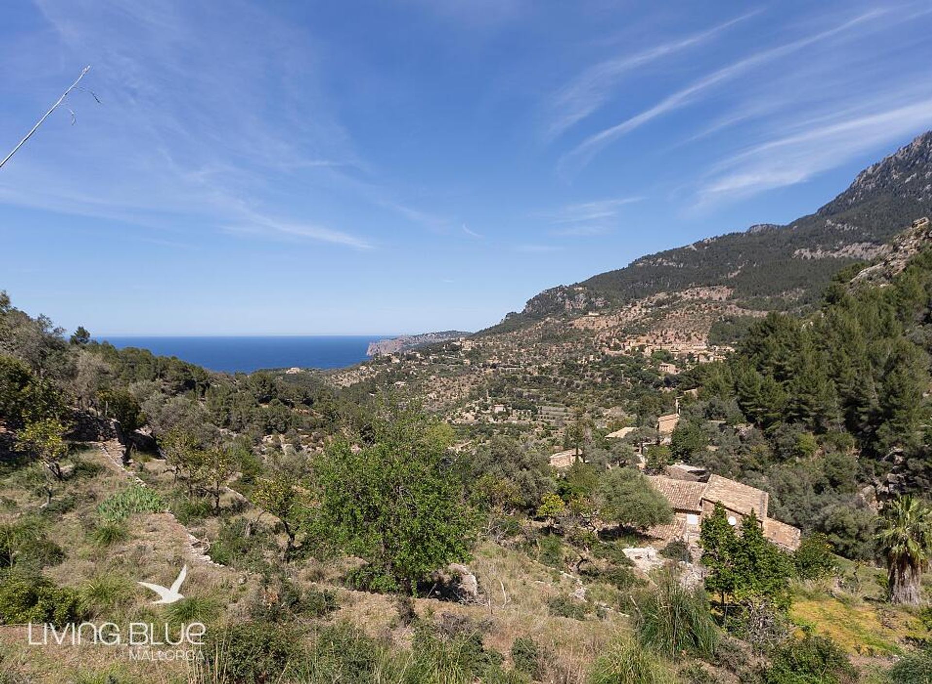 Autre dans Valldemosa, Balearic Islands 11762425