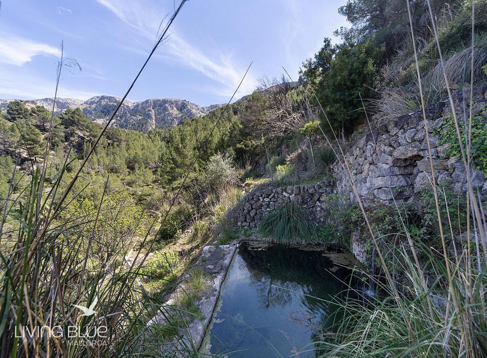 Other in Deià, Balearic Islands 11762425