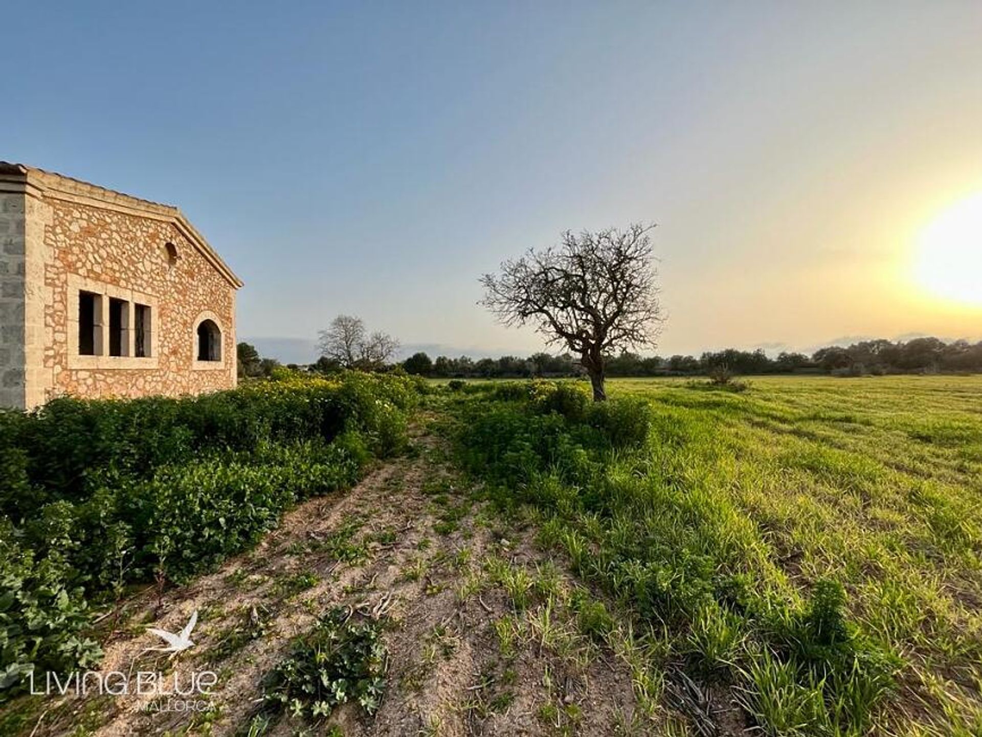 Otro en Campos del Puerto, Islas Baleares 11762599