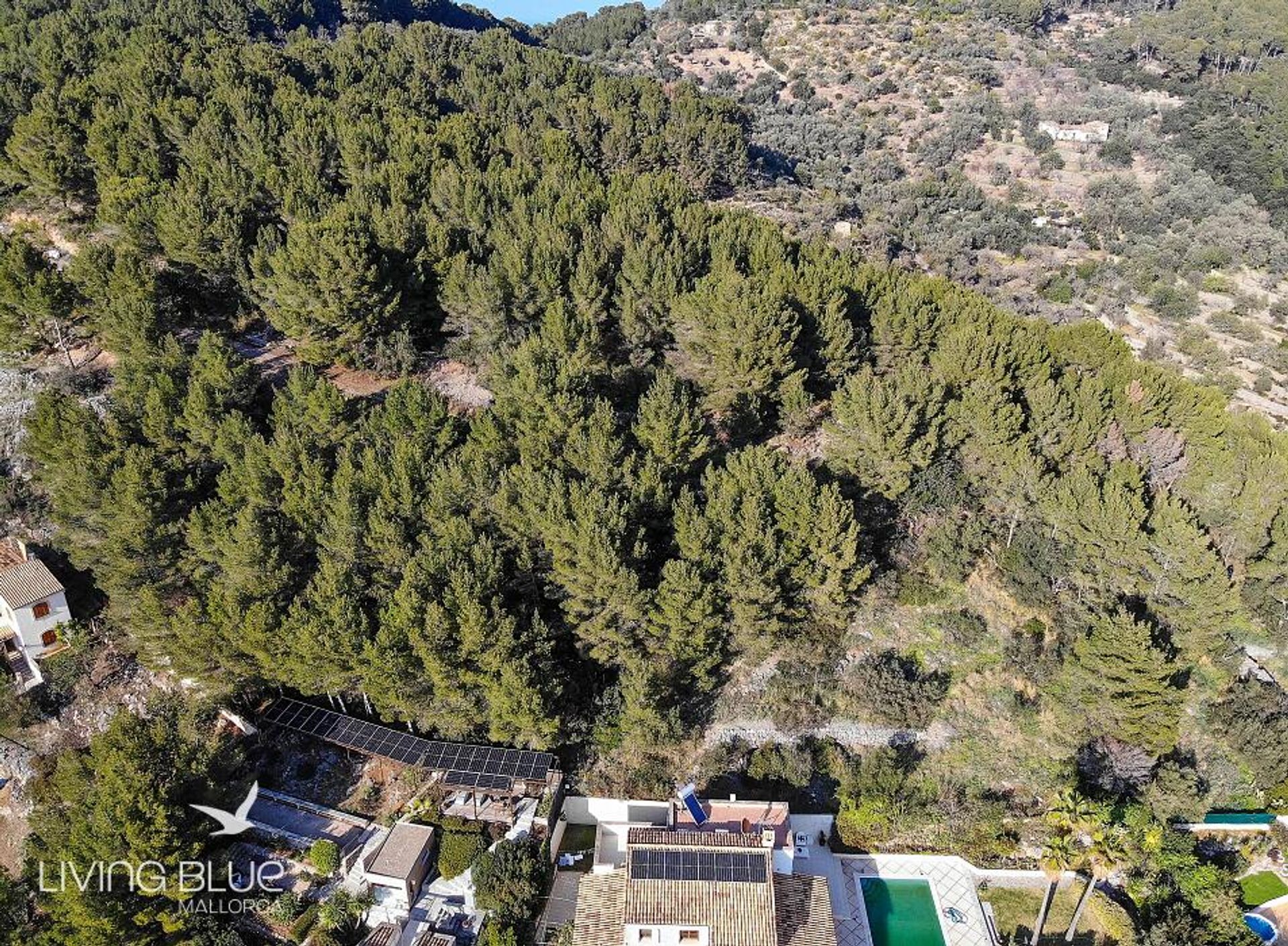 Haus im Port de Sóller, Balearic Islands 11762688