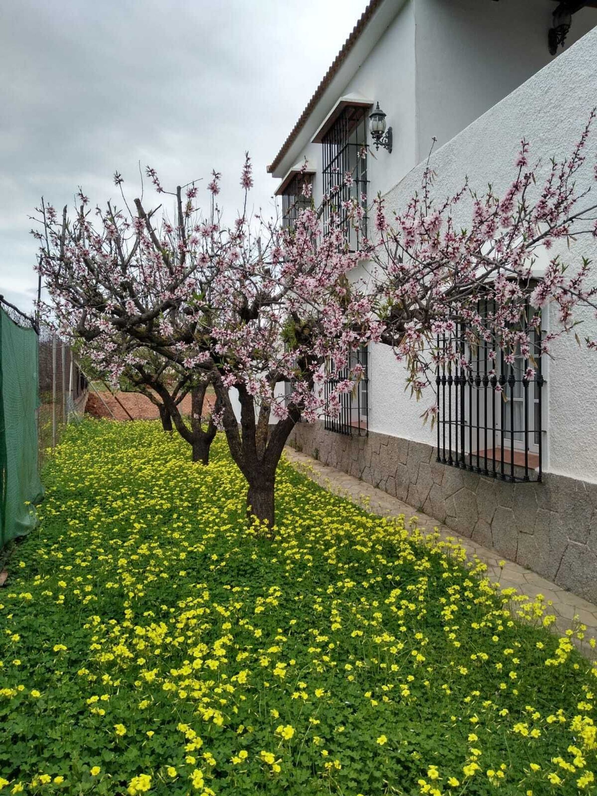 House in Alhaurin el Grande, Andalusia 11764174