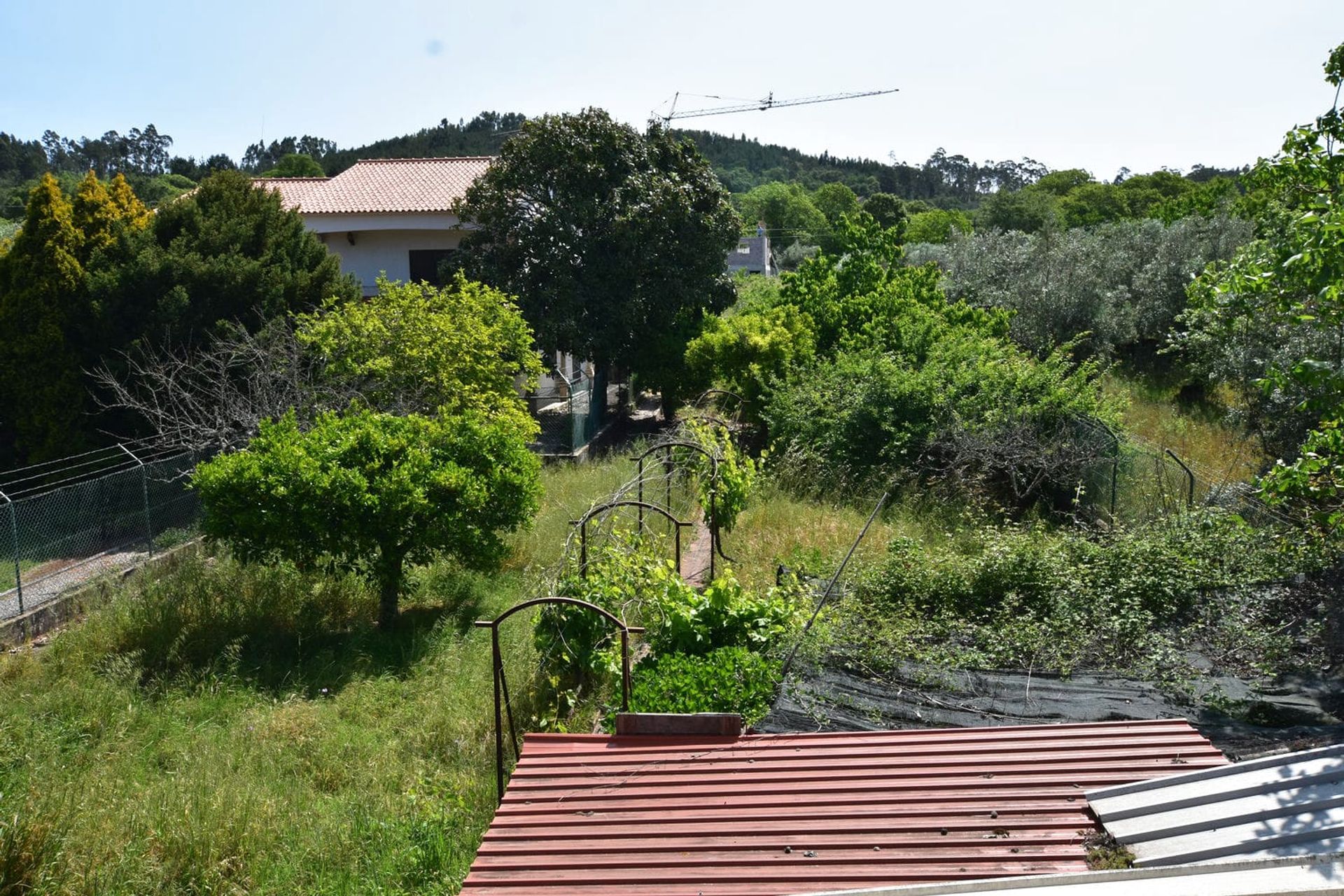 casa en Alvaiázere, Leiria 11768210