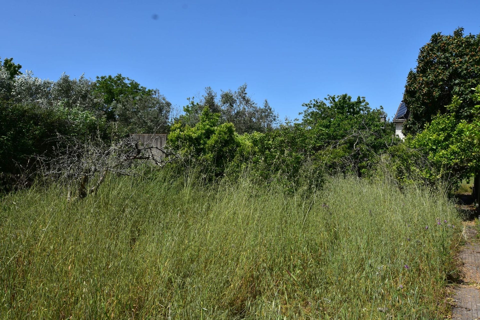 casa en Alvaiázere, Leiria 11768210