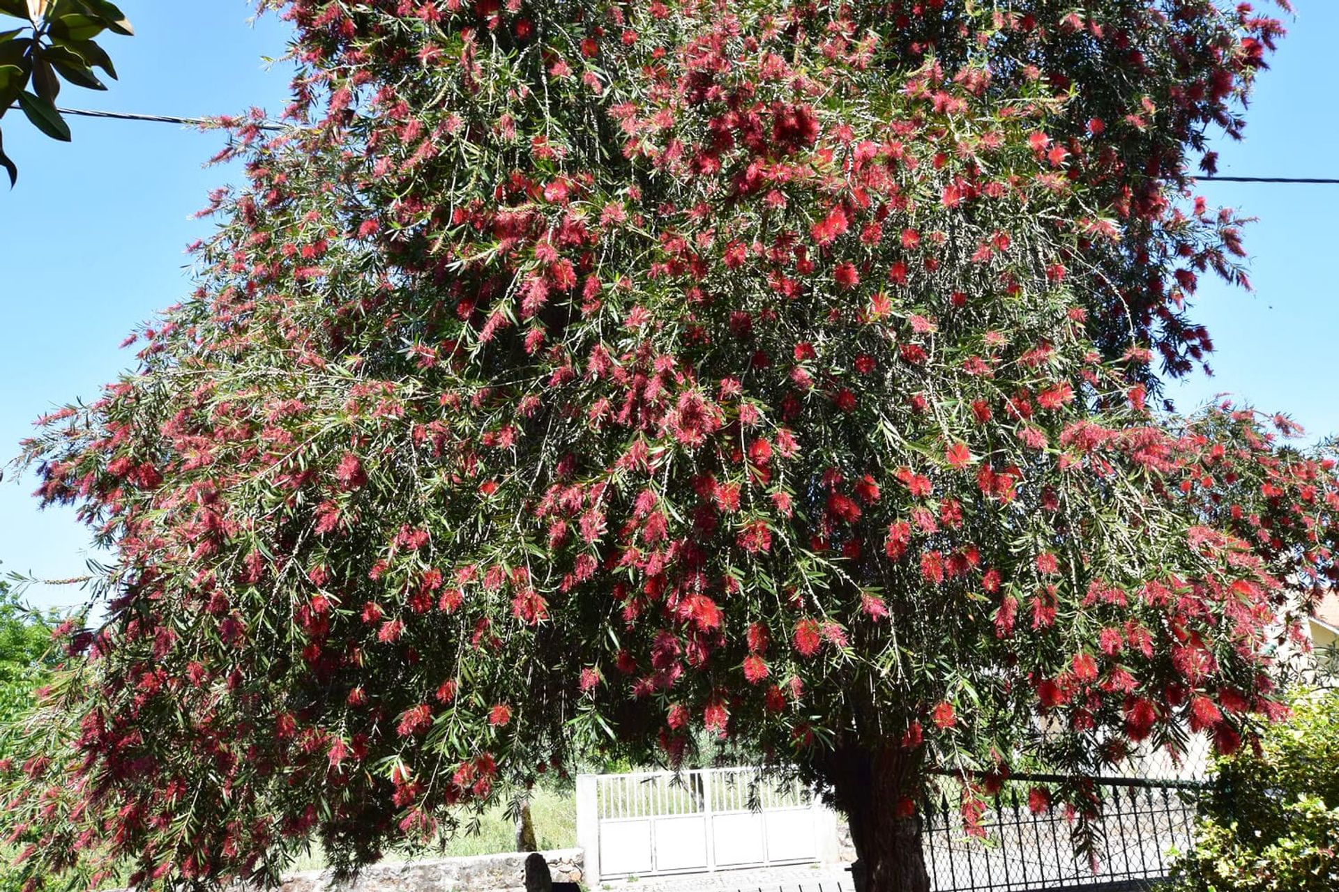 房子 在 Alvaiázere, Leiria 11768210