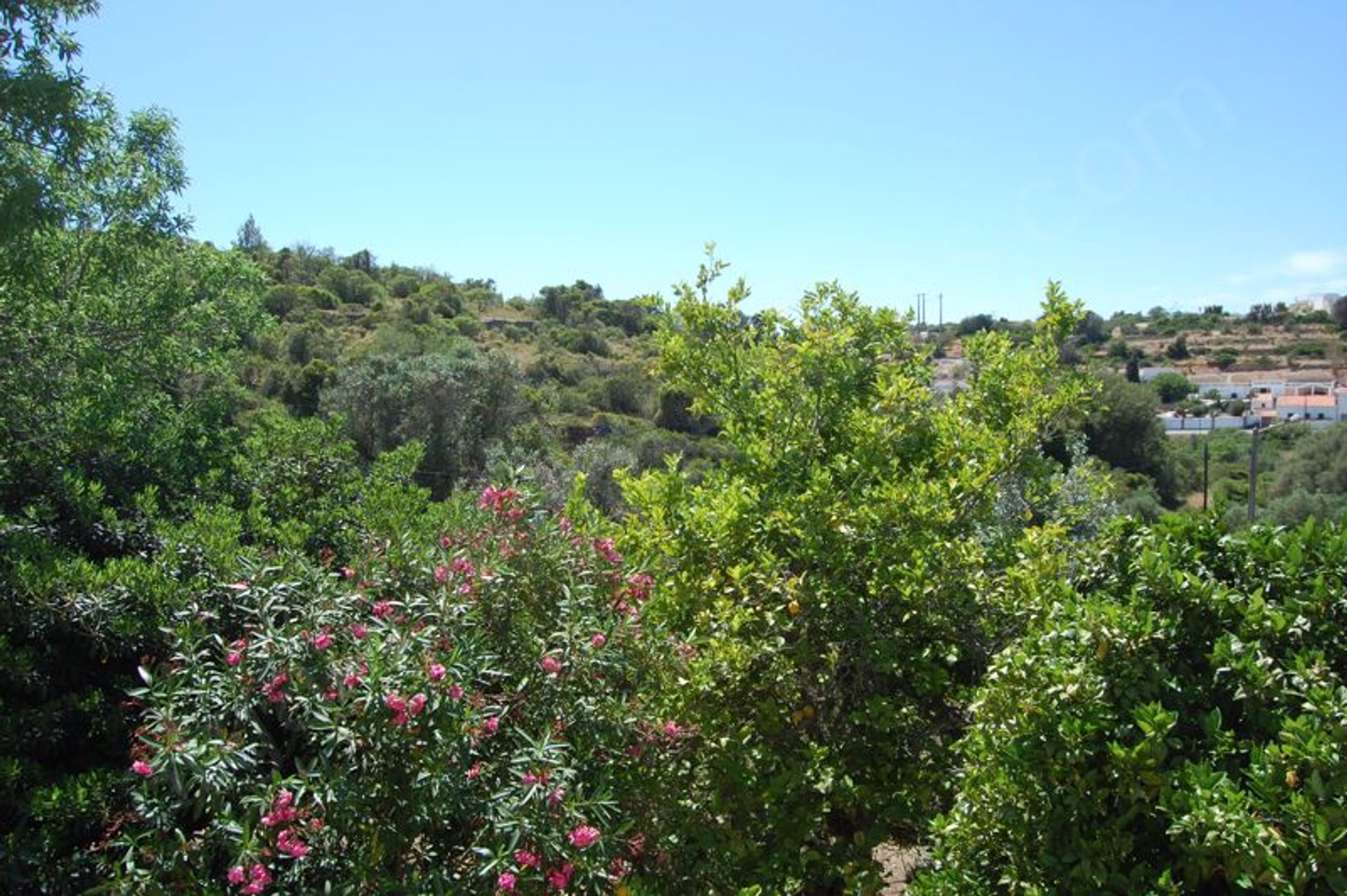 Haus im Carvoeiro, Faro 11769902