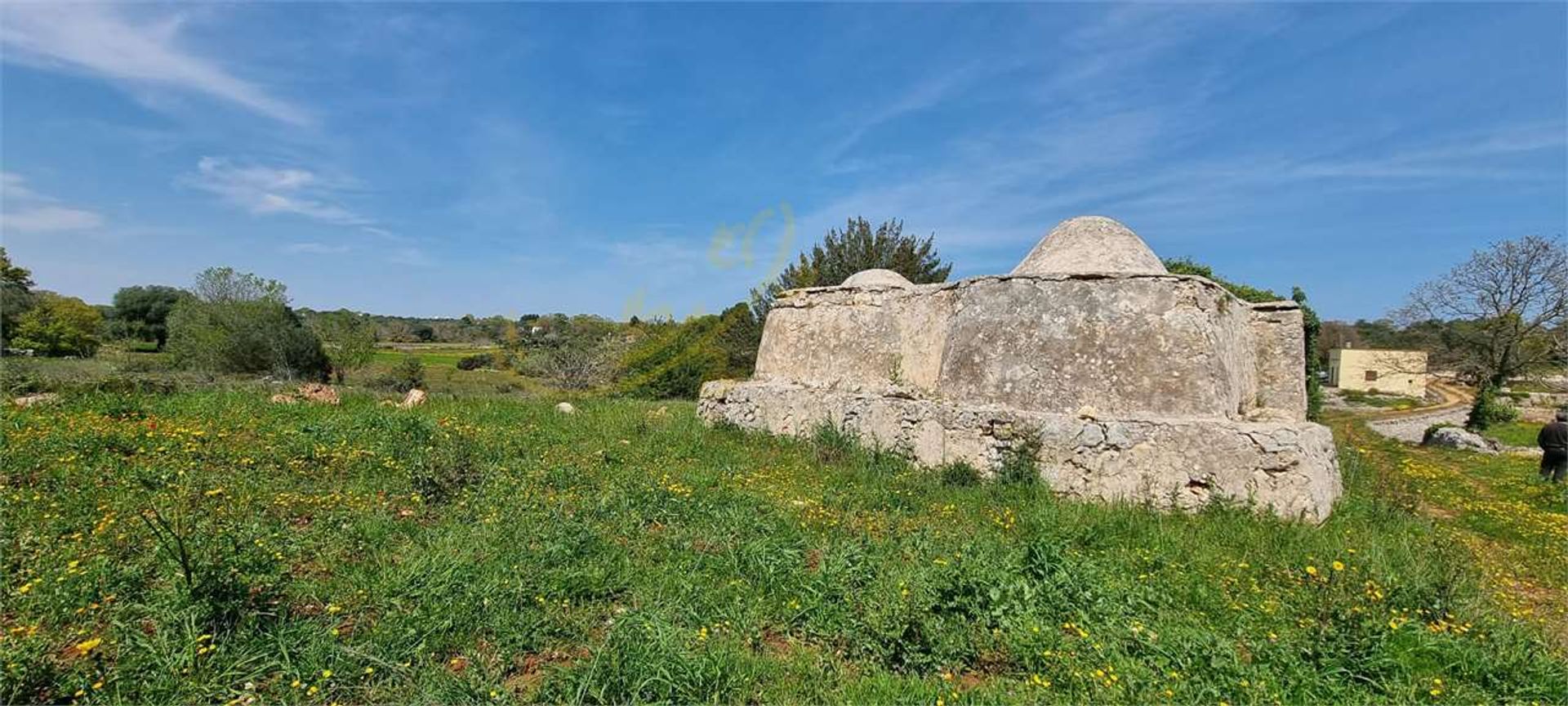 भूमि में Ostuni, Apulia 11770803