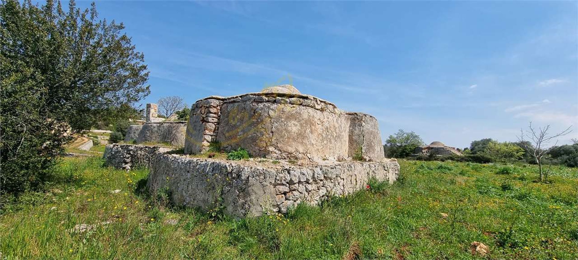 Land i Ostuni, Puglia 11770803