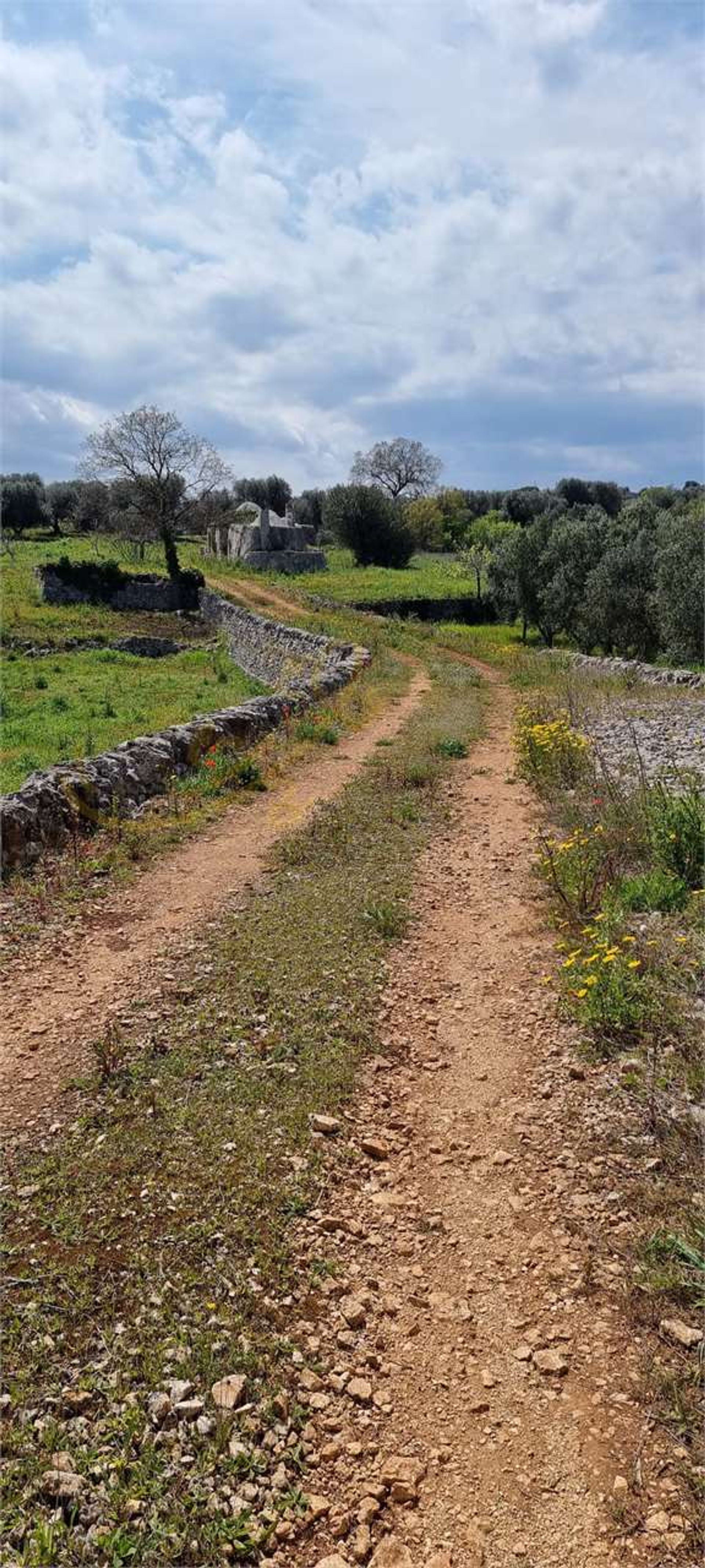 भूमि में Ostuni, Apulia 11770803