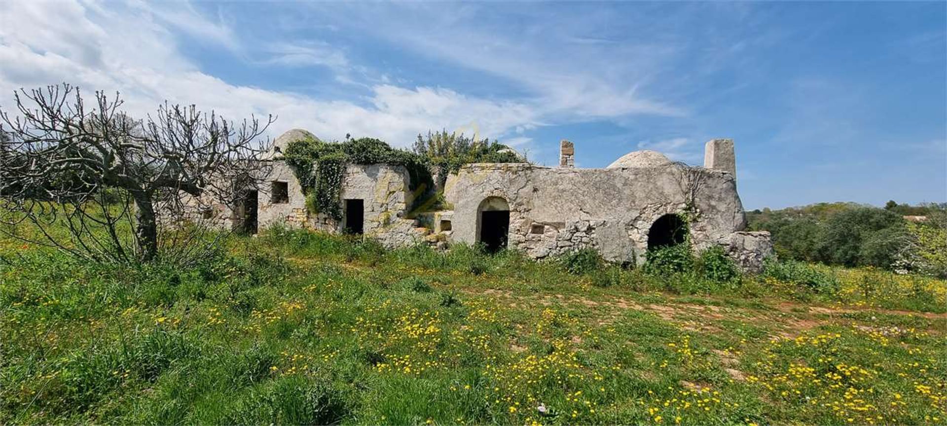 Land i Ostuni, Puglia 11770803