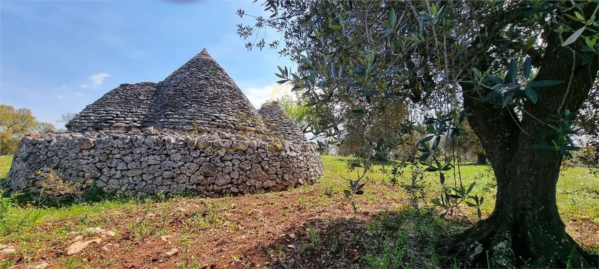 भूमि में Ostuni, Apulia 11770803