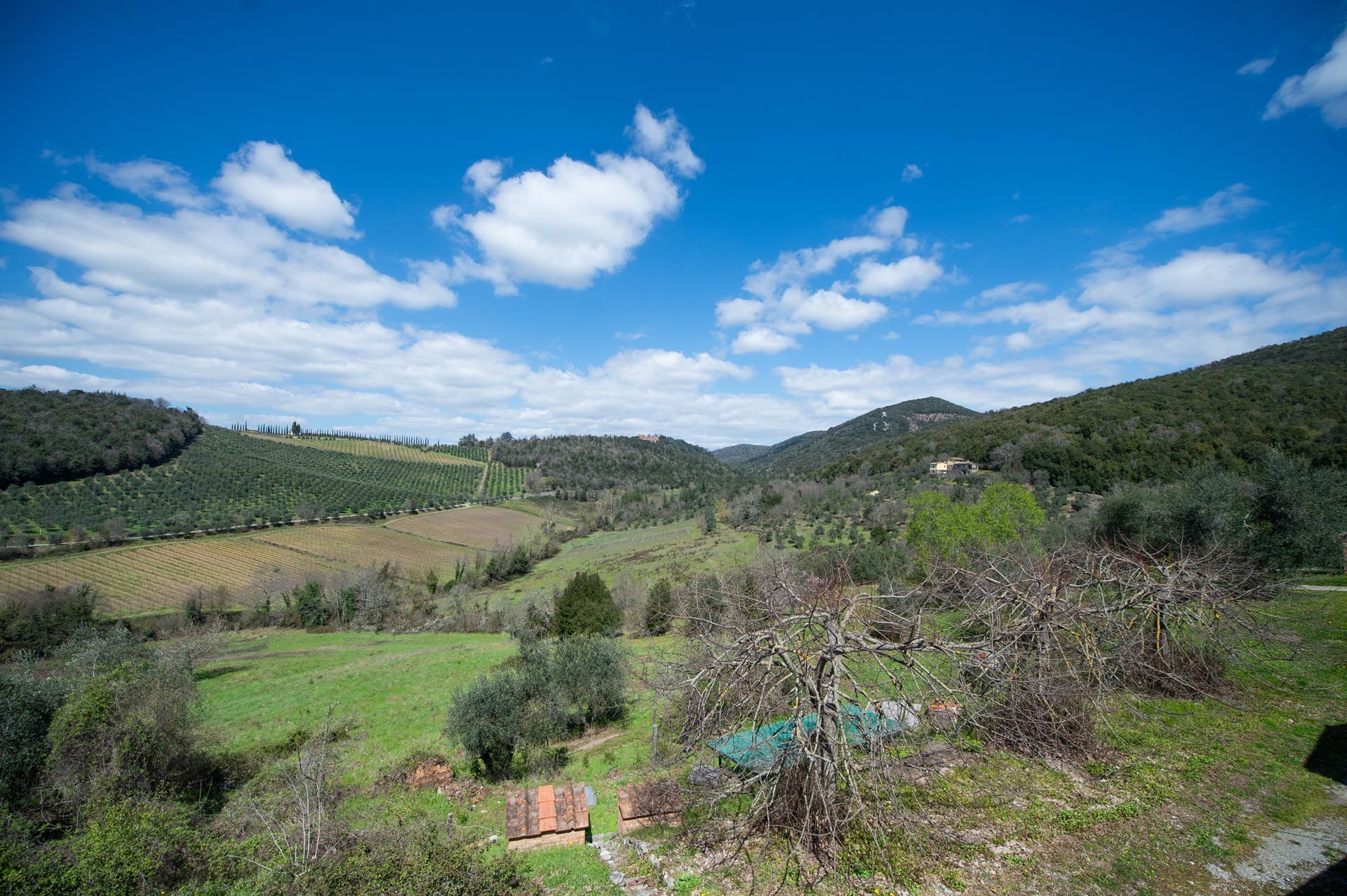 Dom w Gaiole in Chianti, Tuscany 11774307