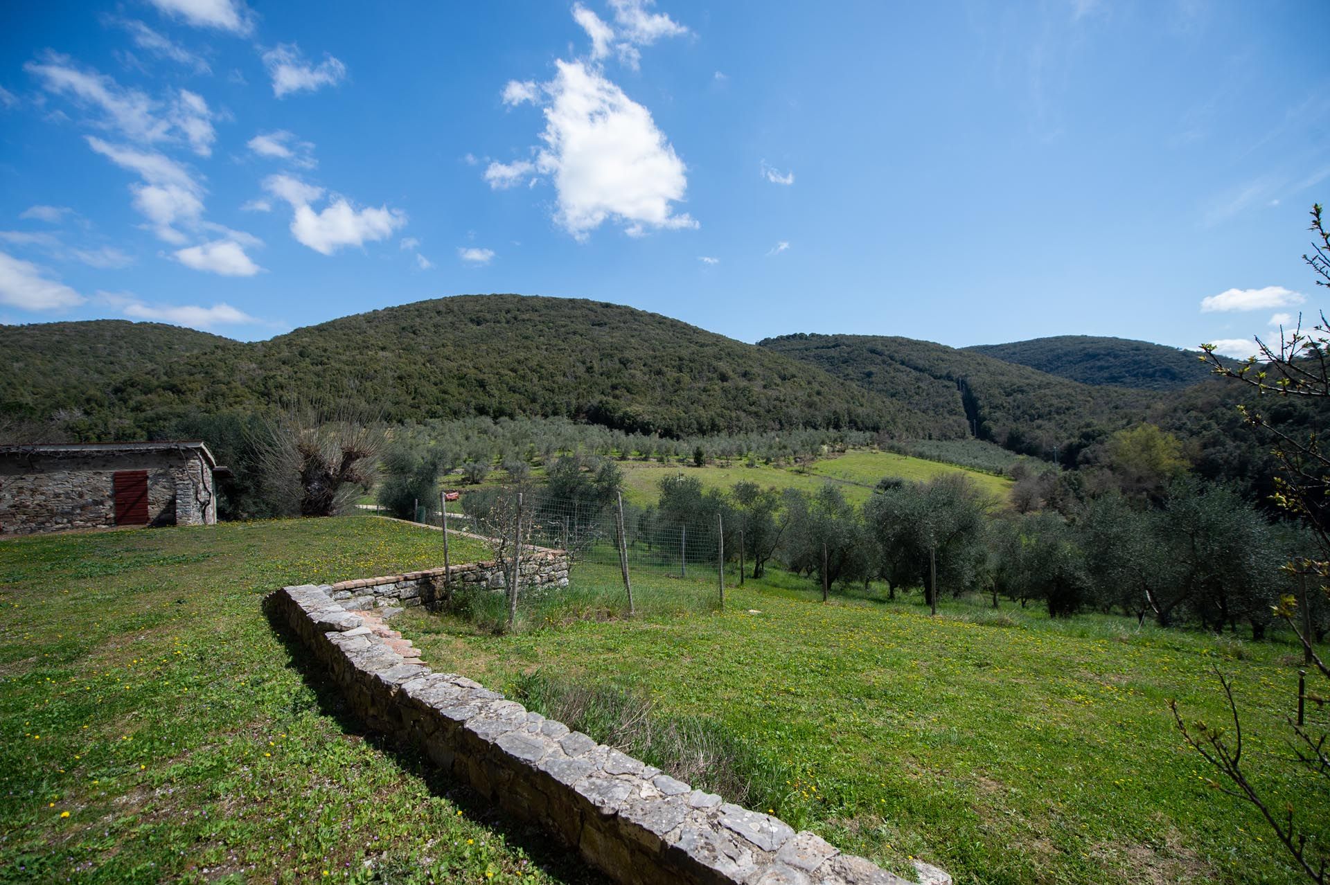 Dom w Gaiole in Chianti, Tuscany 11774307