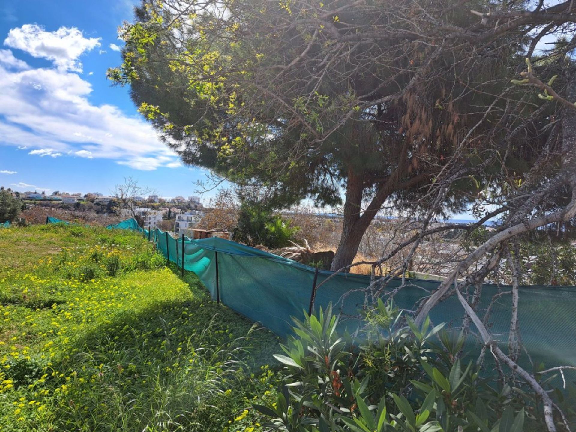 Роздрібна торгівля в Paphos, Paphos 11774348