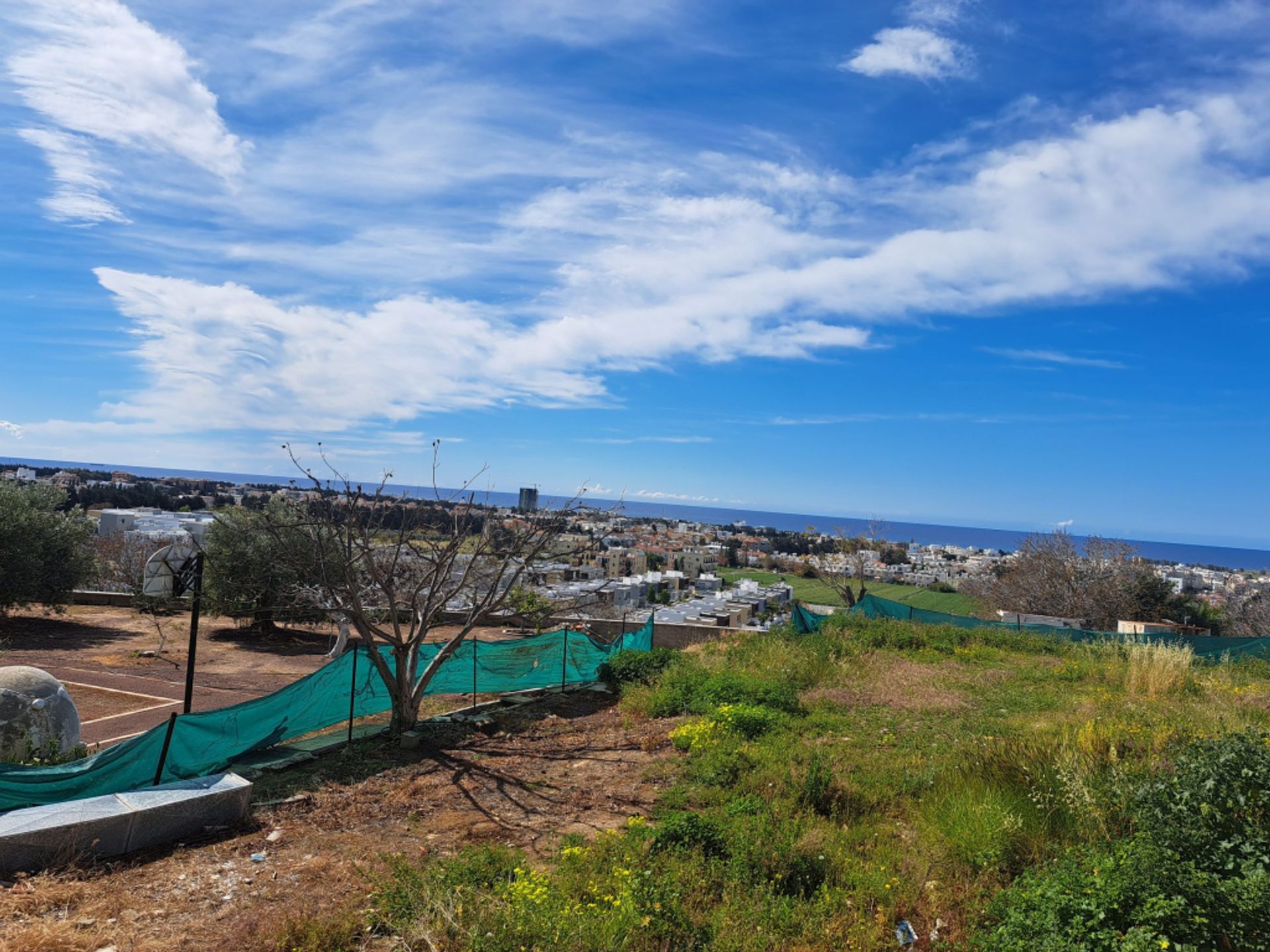 Détail dans Paphos, Paphos 11774348