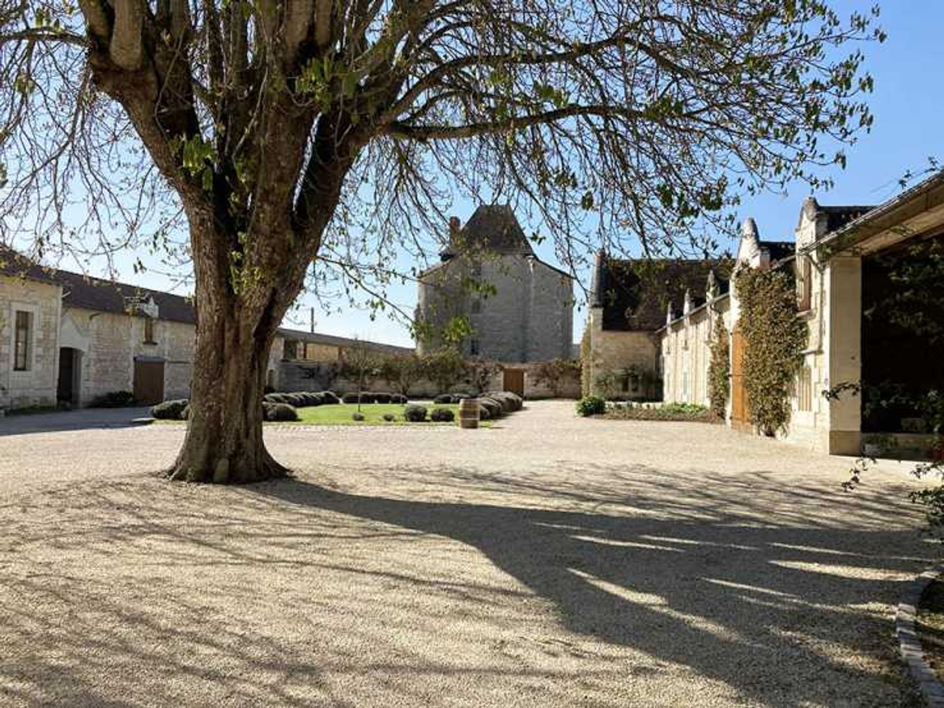 Andere in Loudun, Nouvelle-Aquitaine 11776813