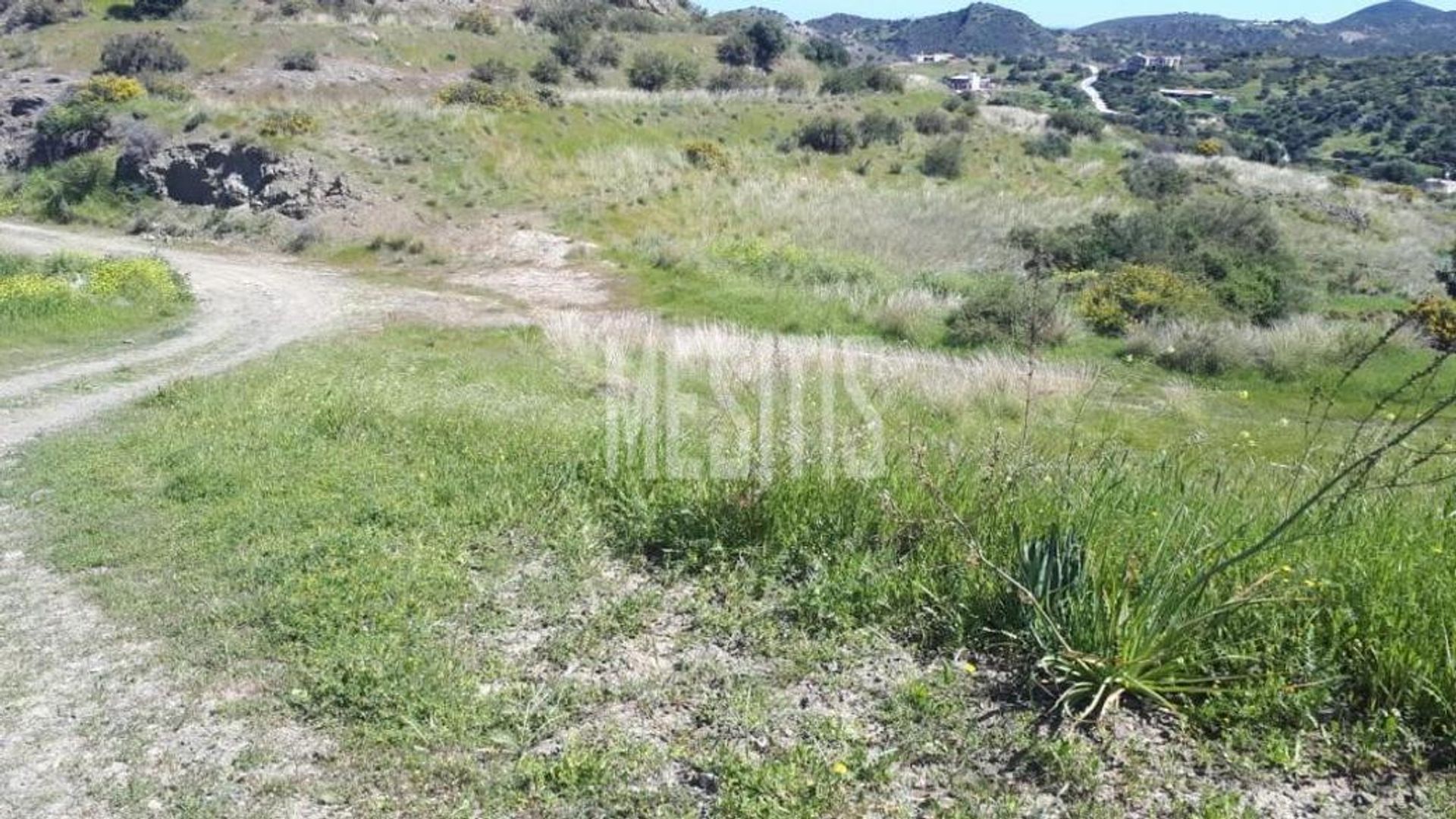 Land in Geri, Lefkosia 11782833